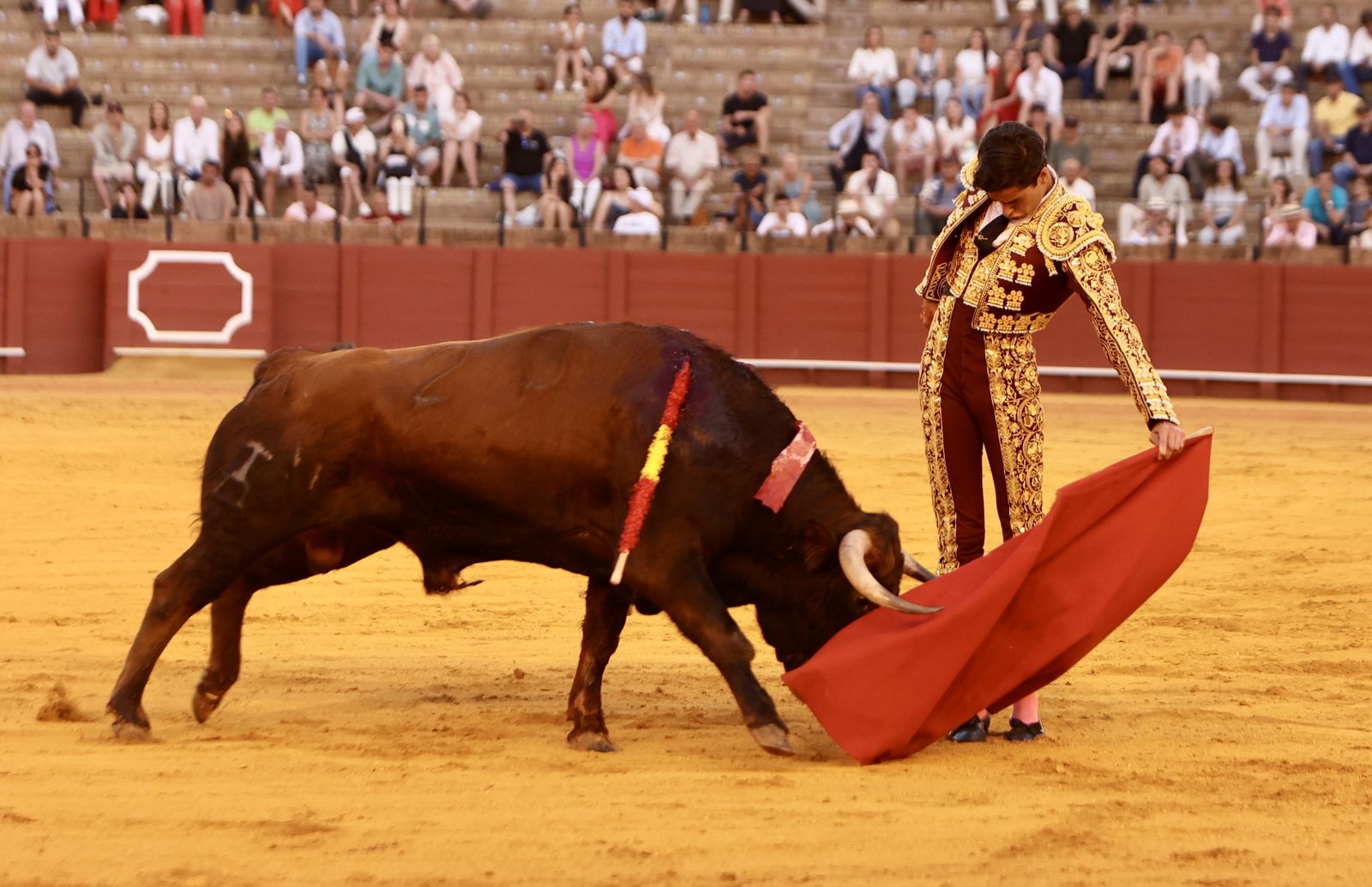 Novillada El Melli, Aarón Palacios y Manuel Jesús  Carrión