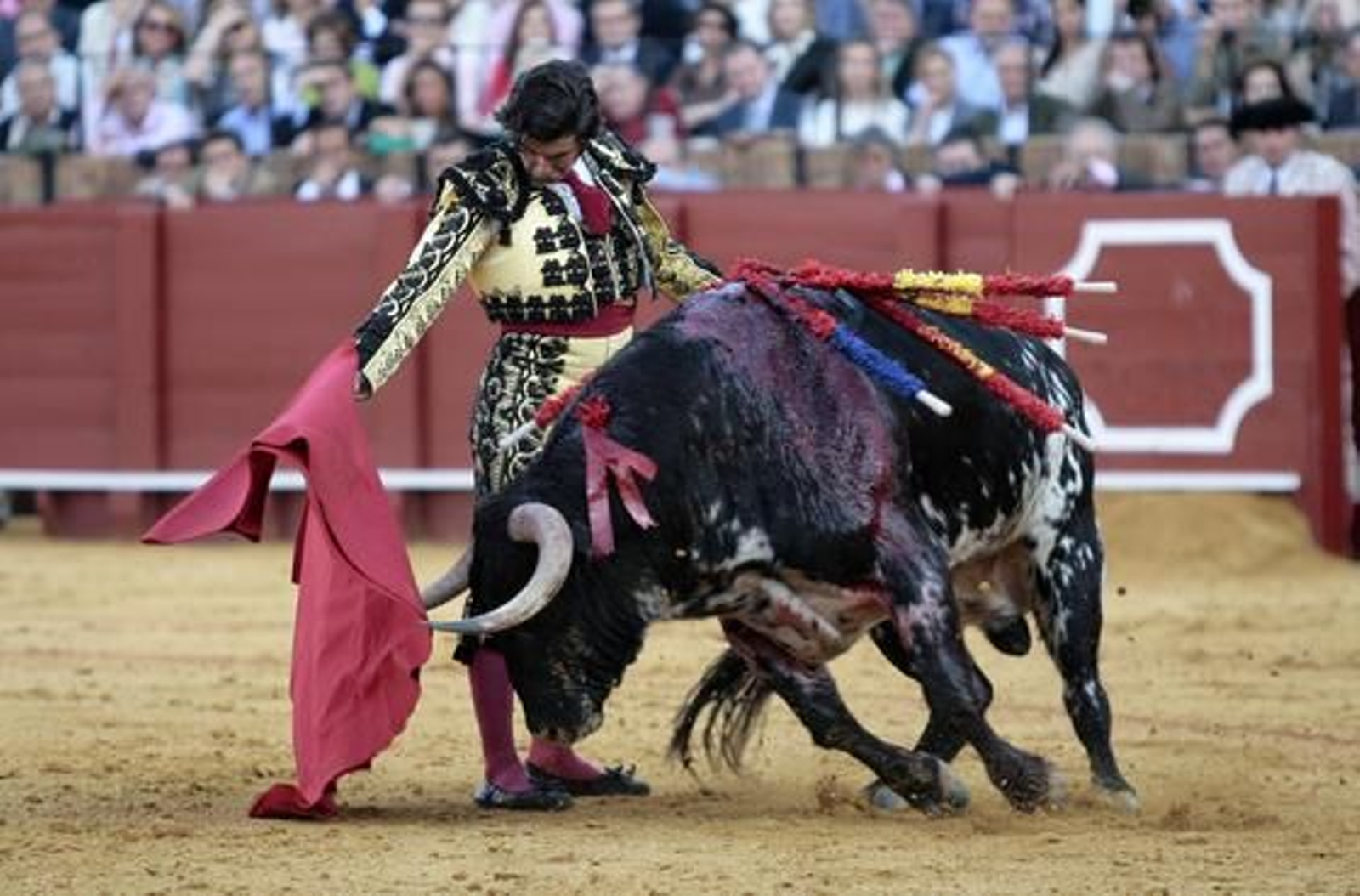 Morante./ Juan Carlos Muñoz