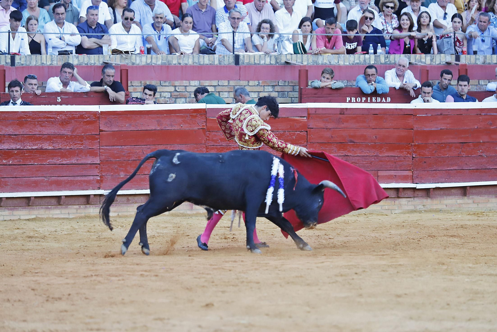 COLOMBINAS 2023: Festejo del miércoles de la Feria Taurina