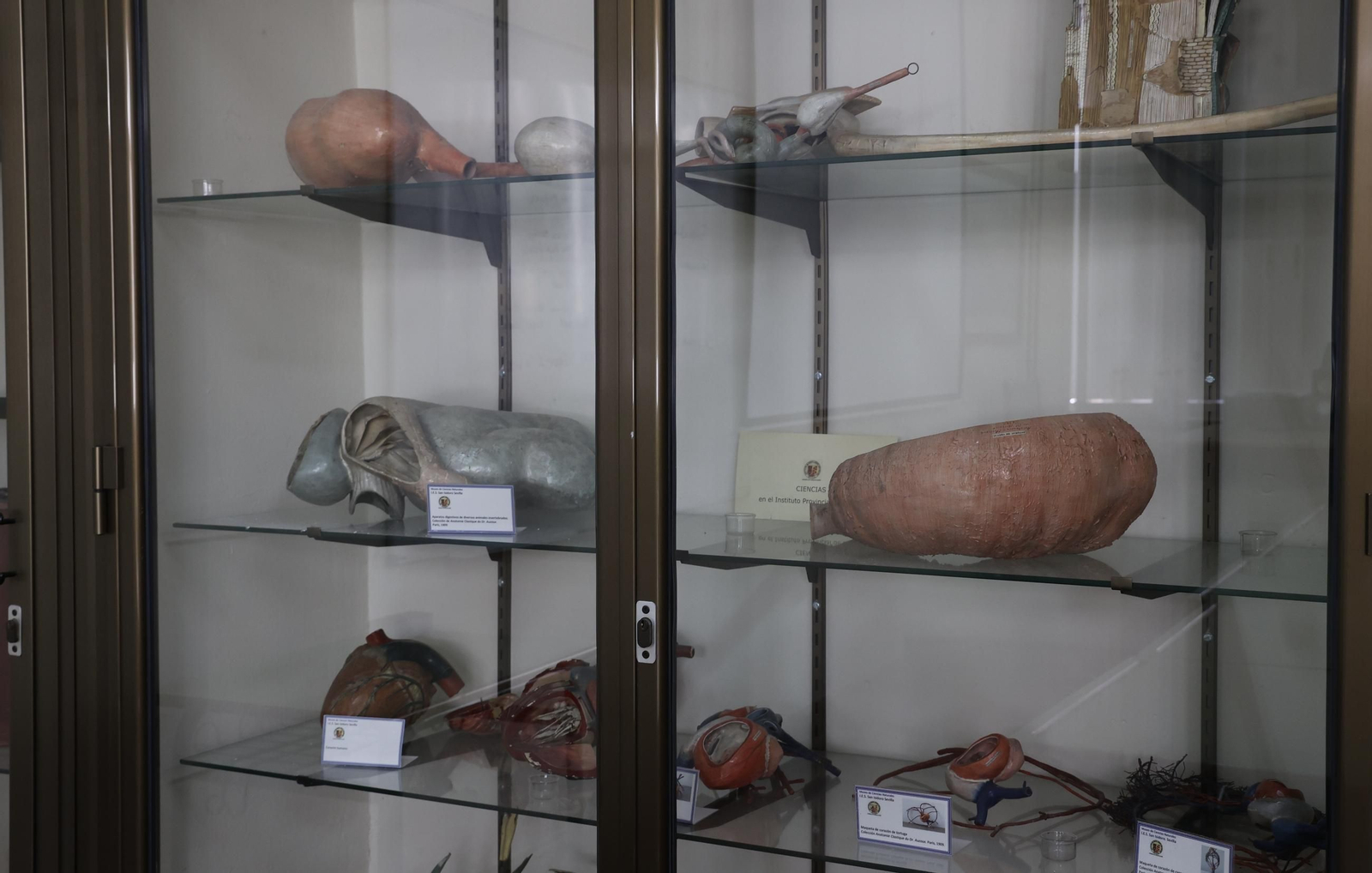 Museo del IES San Isidoro de Sevilla