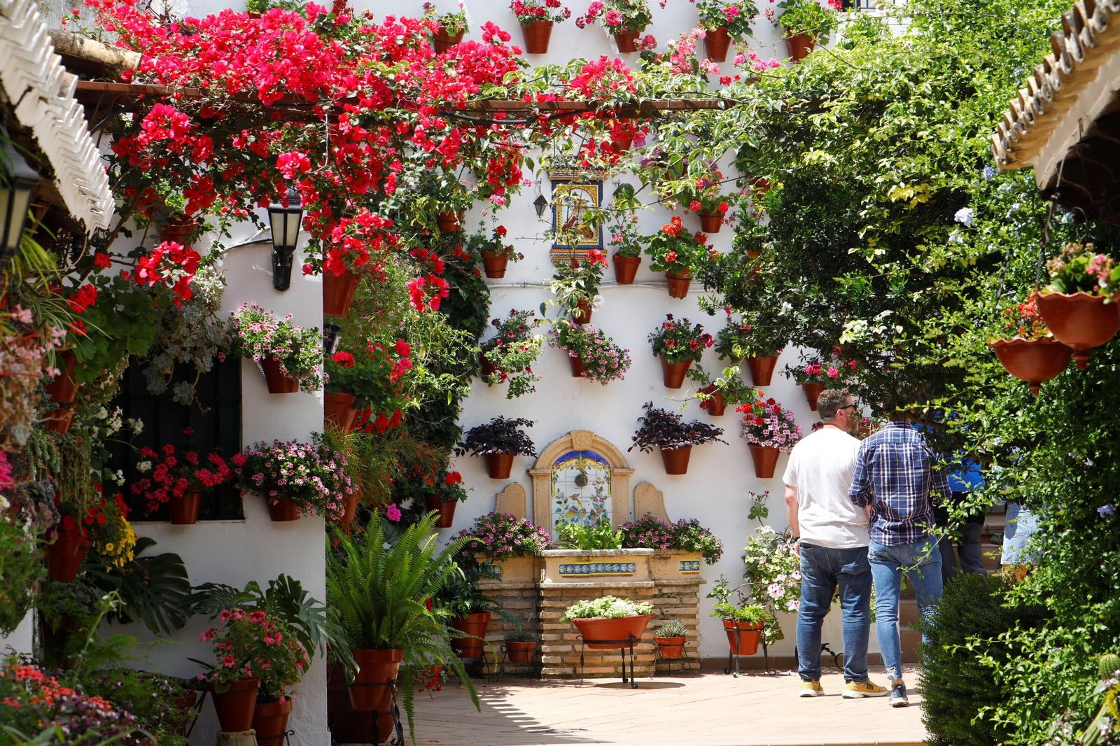 Un recorrido en imágenes por los patios de la ruta Regina-Realejo