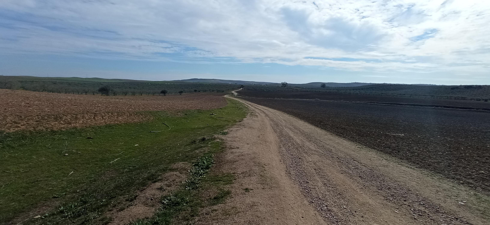 Las imágenes de la ruta de la dehesa de Albaida del Aljarafe