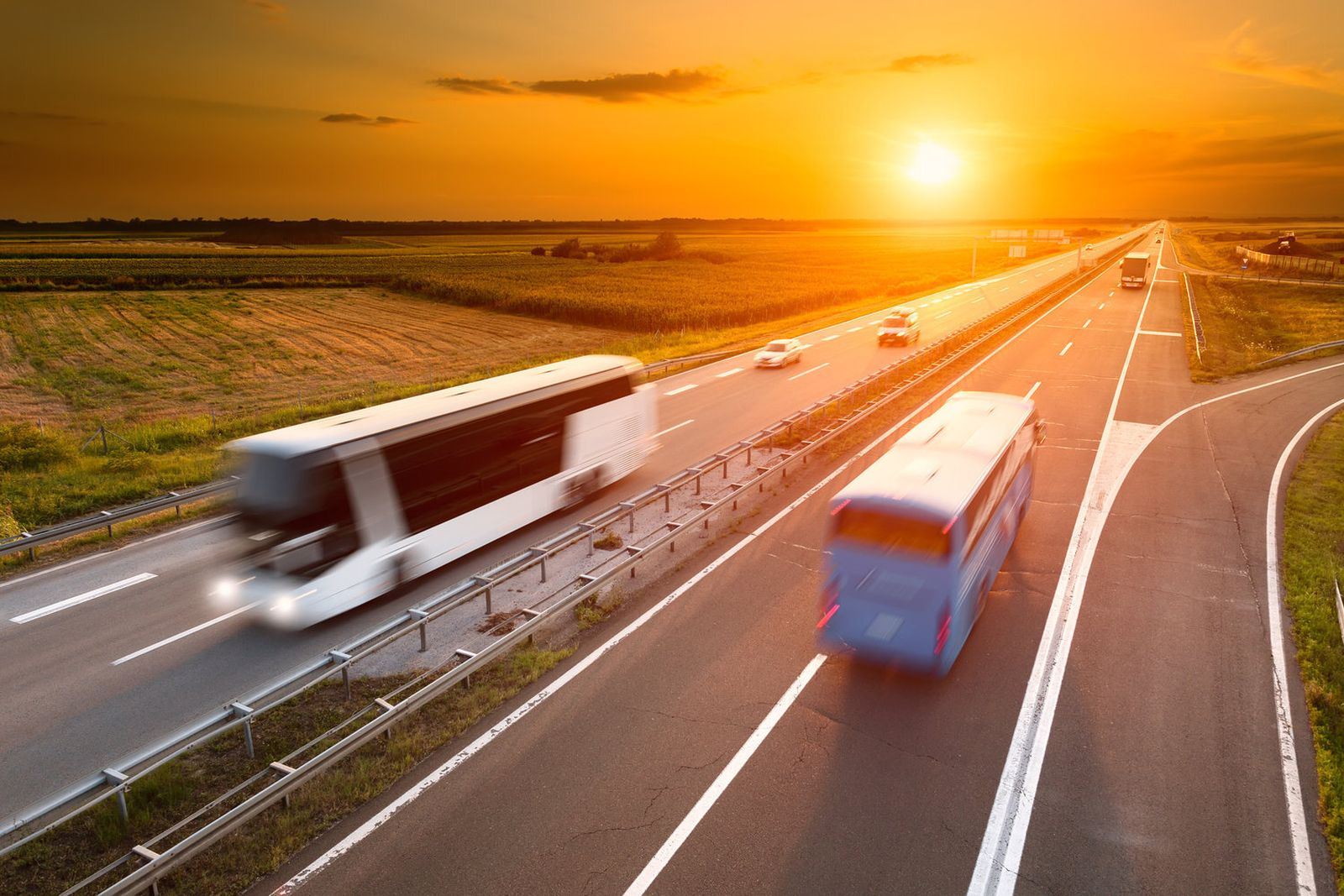 Las empresas del transporte de viajeros de Almería ofrecen sus 400 autobuses para cooperar desinteresadamente en el proceso de vacunación