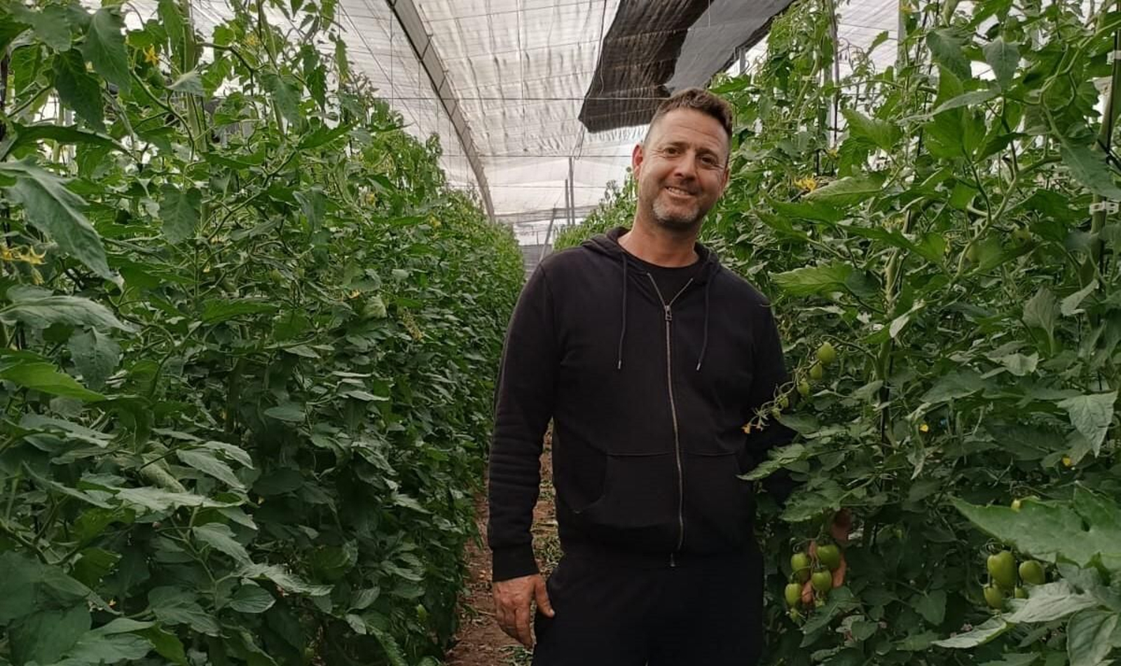 Paco, ante las matas de tomate que tiene en su finca de Roquetas de Mar.