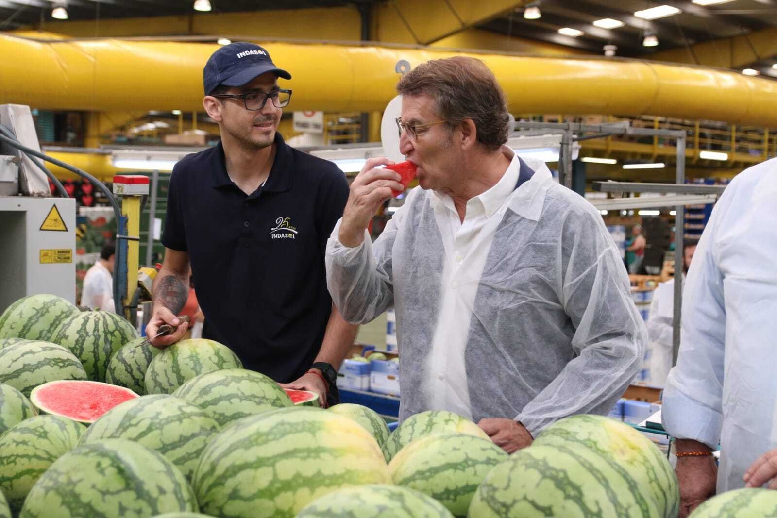 Feijóo prueba una sandía durante su visita a Indasol en El Ejido.