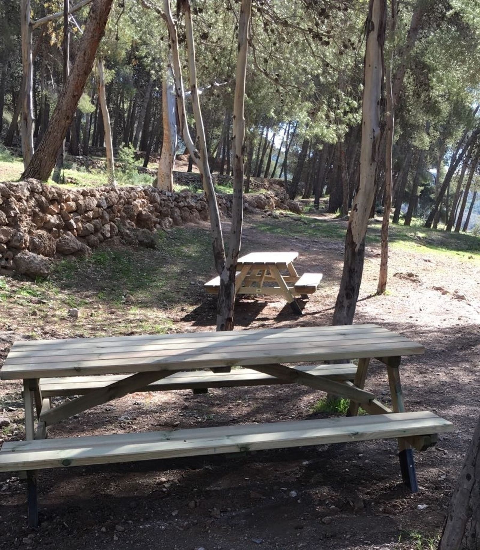 Nuevos merenderos instalados en el Parque de Castala.