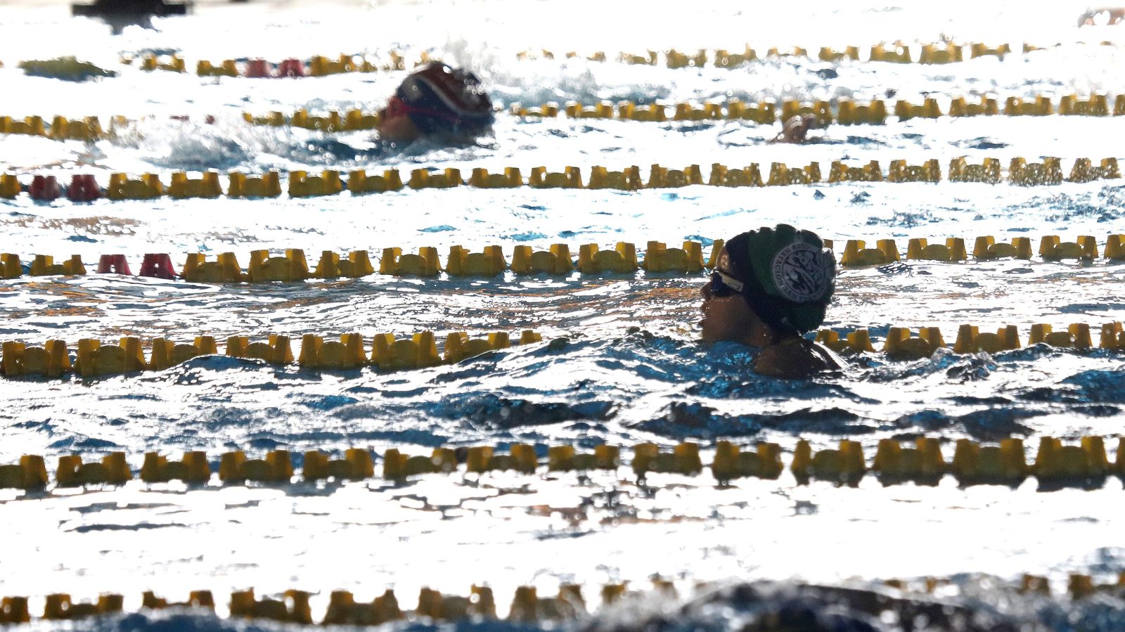 Las fotos del torneo de natación en Los Barrios