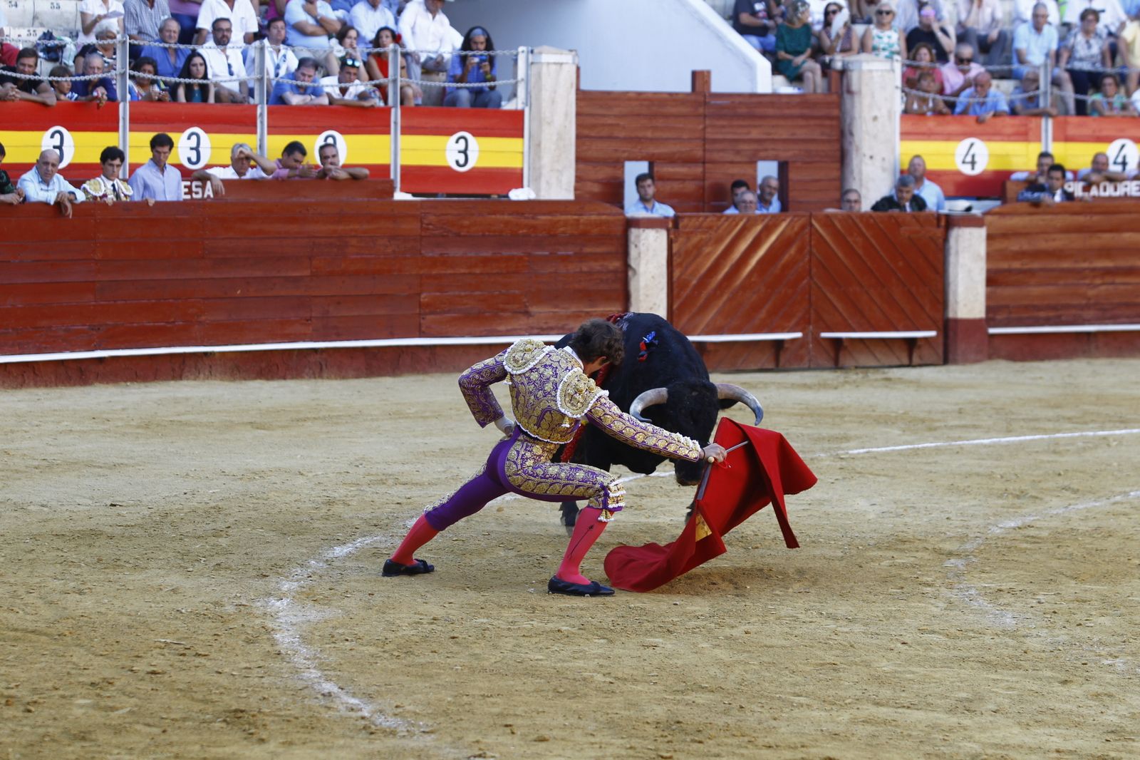 Fotogalería de la novillada de la Feria Taurina de Almería 2022