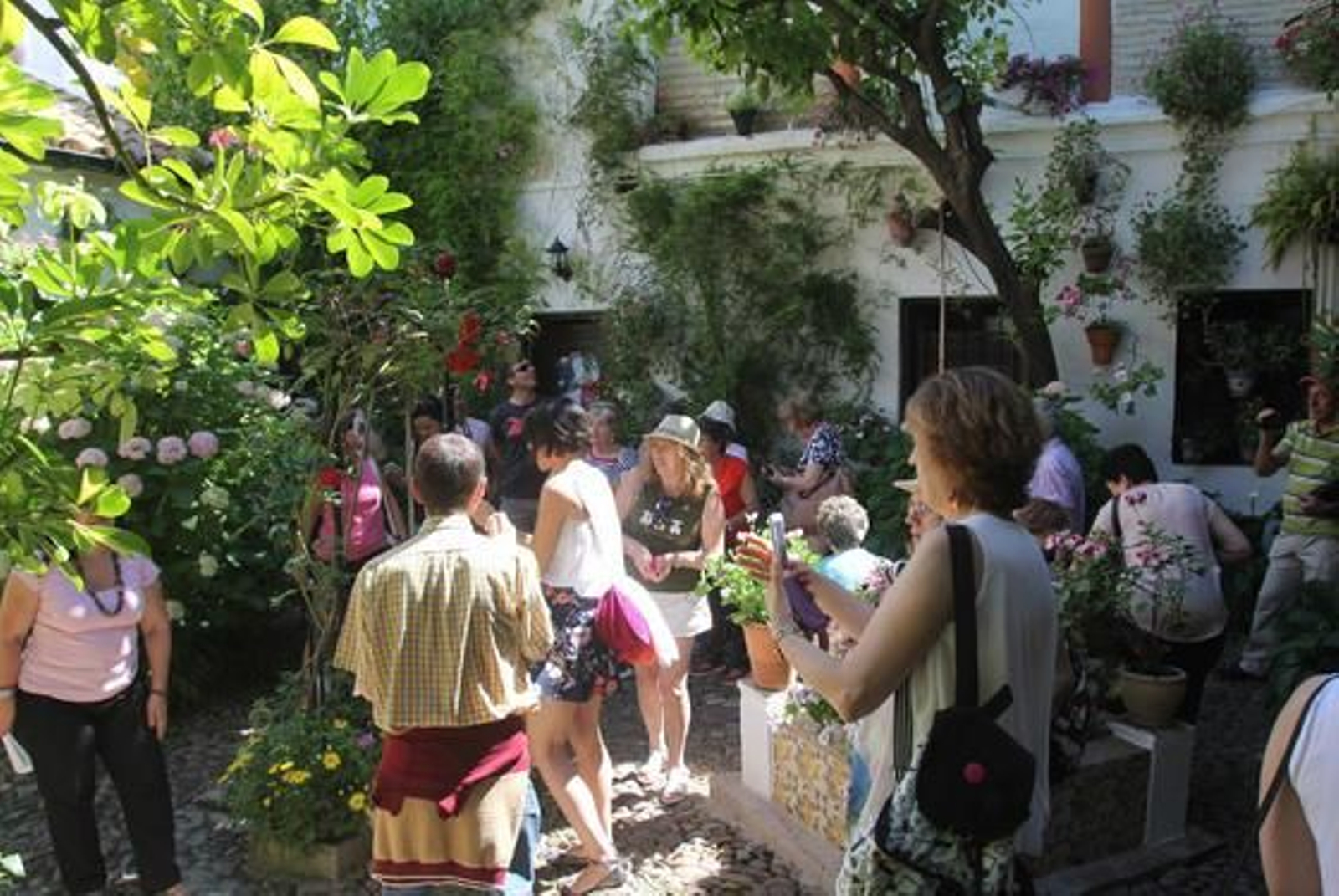 Foto: José Martínez