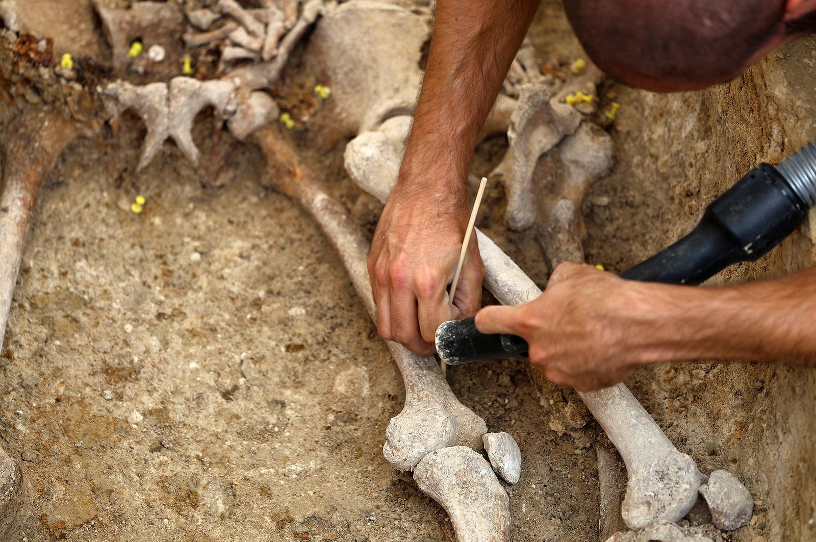 Imágenes de la visita a los trabajos de exhumación en las fosas comunes del Cementerio de La Soledad