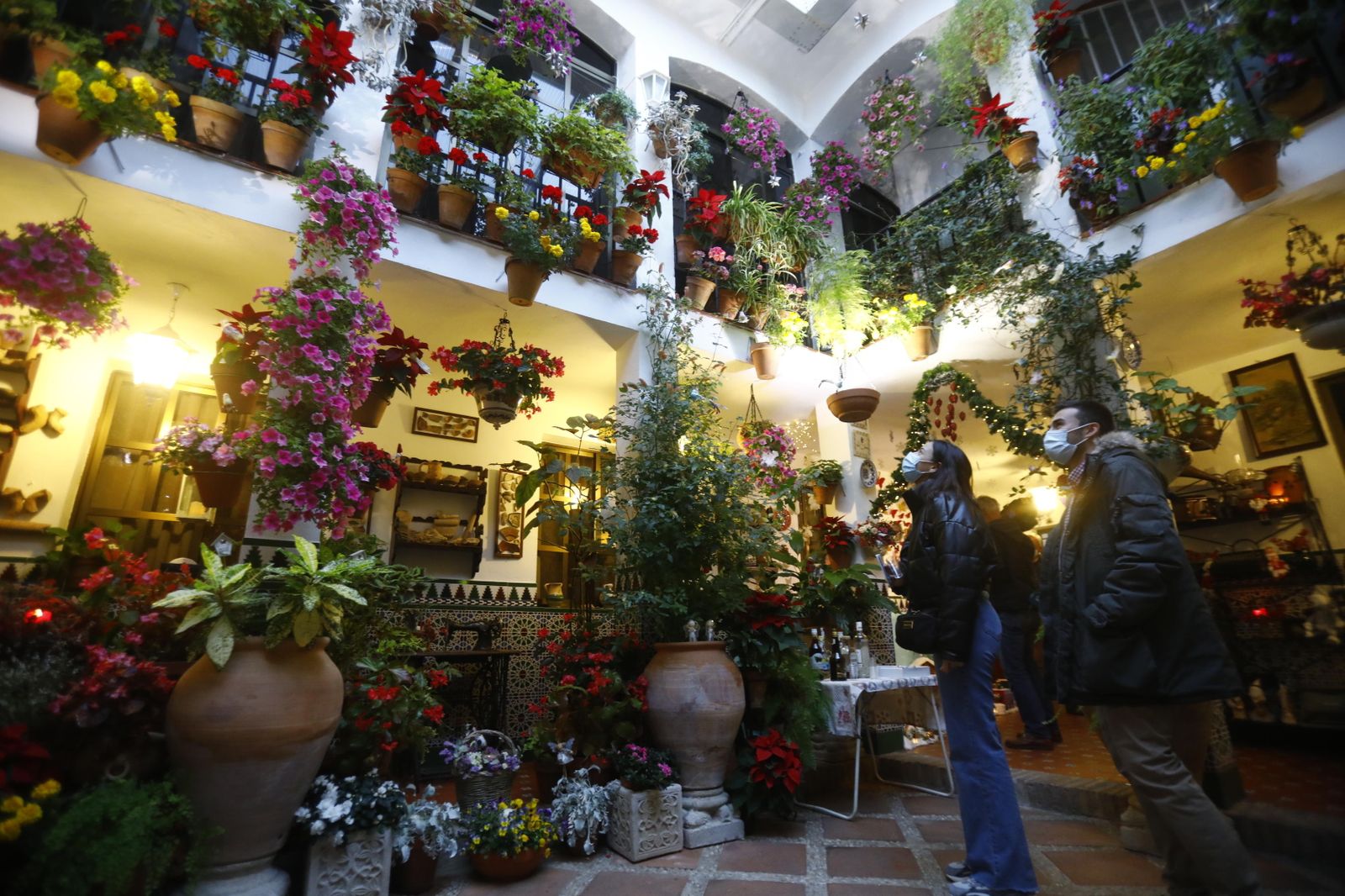 Las fotografías de los Patios de Córdoba en Navidad