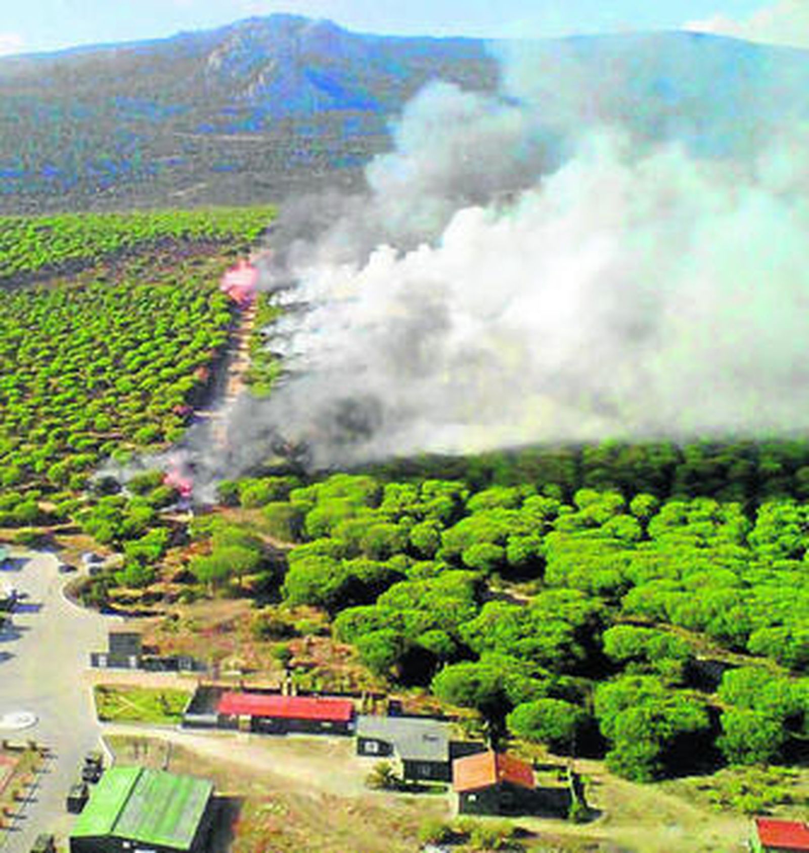 Vista aérea de los primeros instantes del incendio forestal facilitada por el Plan Infoca.