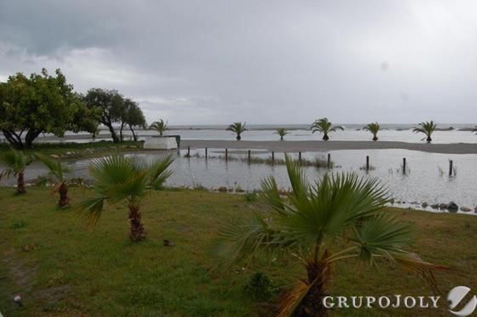 Foto: Rosa Fernandez