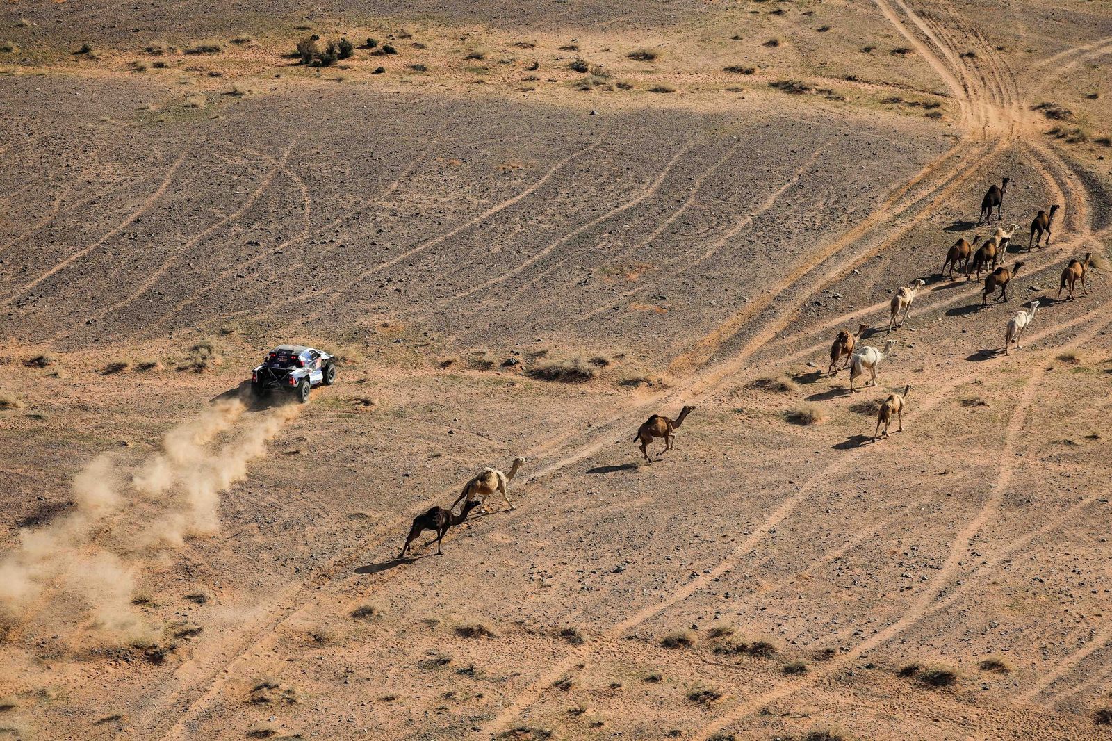Las mejores fotos del Rally Dakar | Quinta etapa