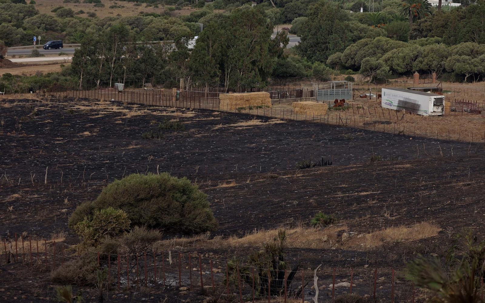 Fotos del incendio forestal de Torre de la Peña en Tarifa