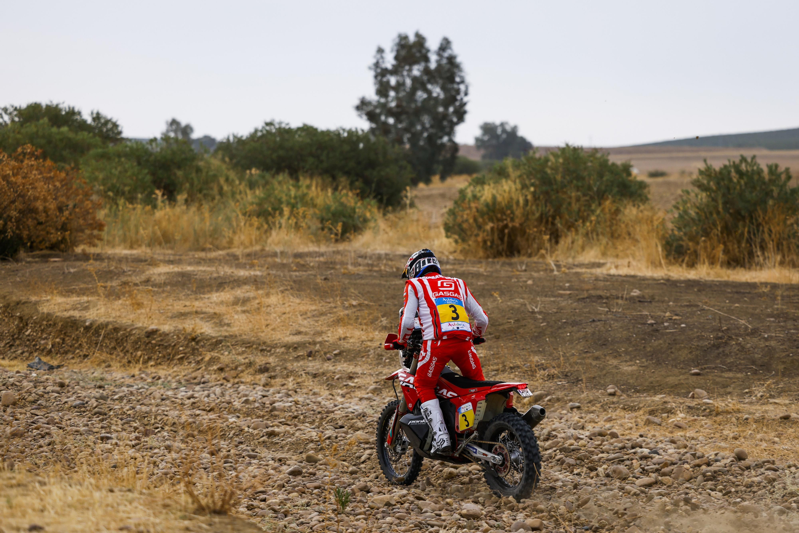 Andalucía Rally: las imágenes del 'Dakar' de Dos Hermanas | Día 2