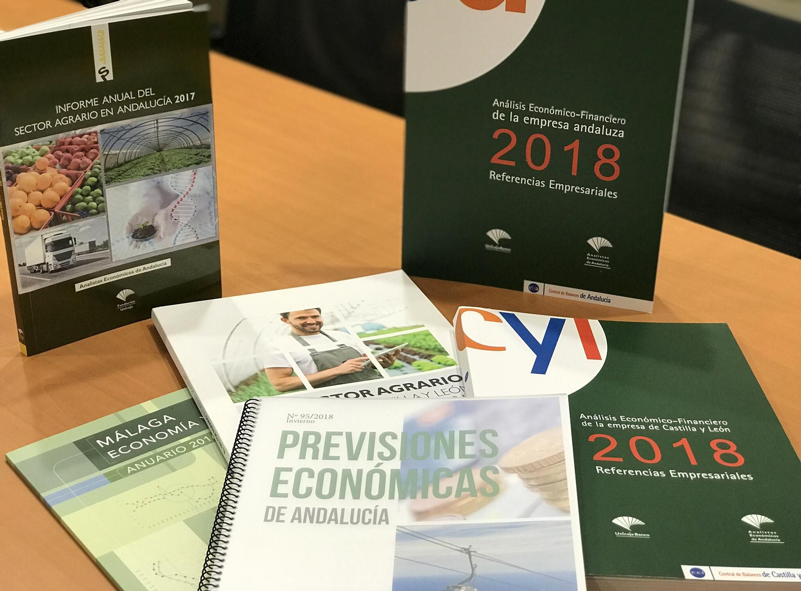Algunas de las publicaciones elaboradas el pasado año. Algunas de las publicaciones elaboradas el pasado año.