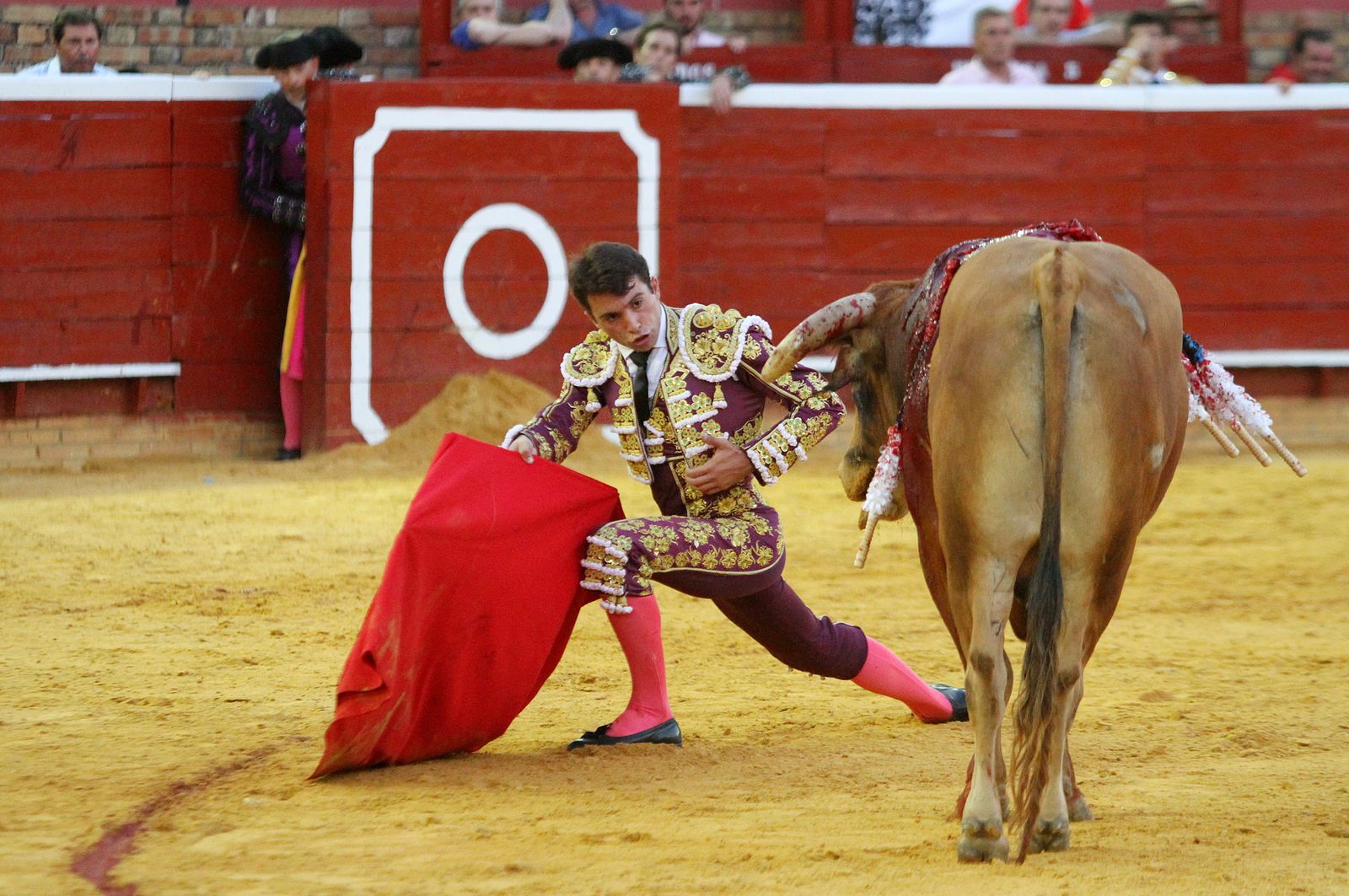 Imágenes de la Novillada de Rafael Serna, Emilio Silvera y Rodrigo Molina.