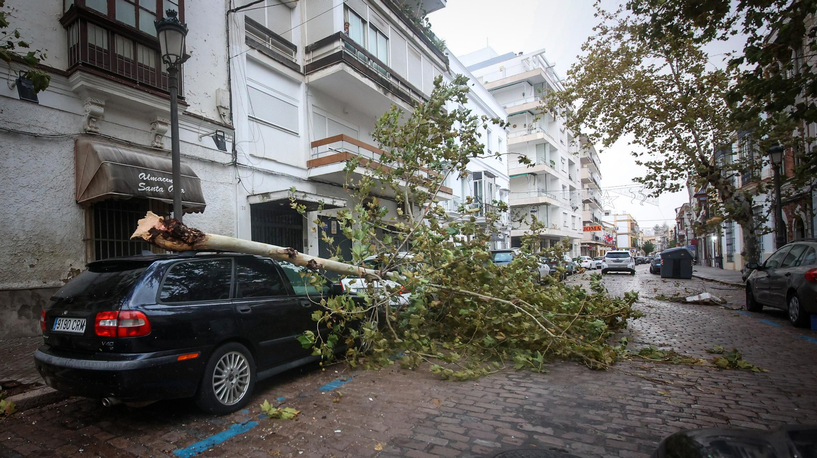 Caos en Jerez por los destrozos del temporal de viento
