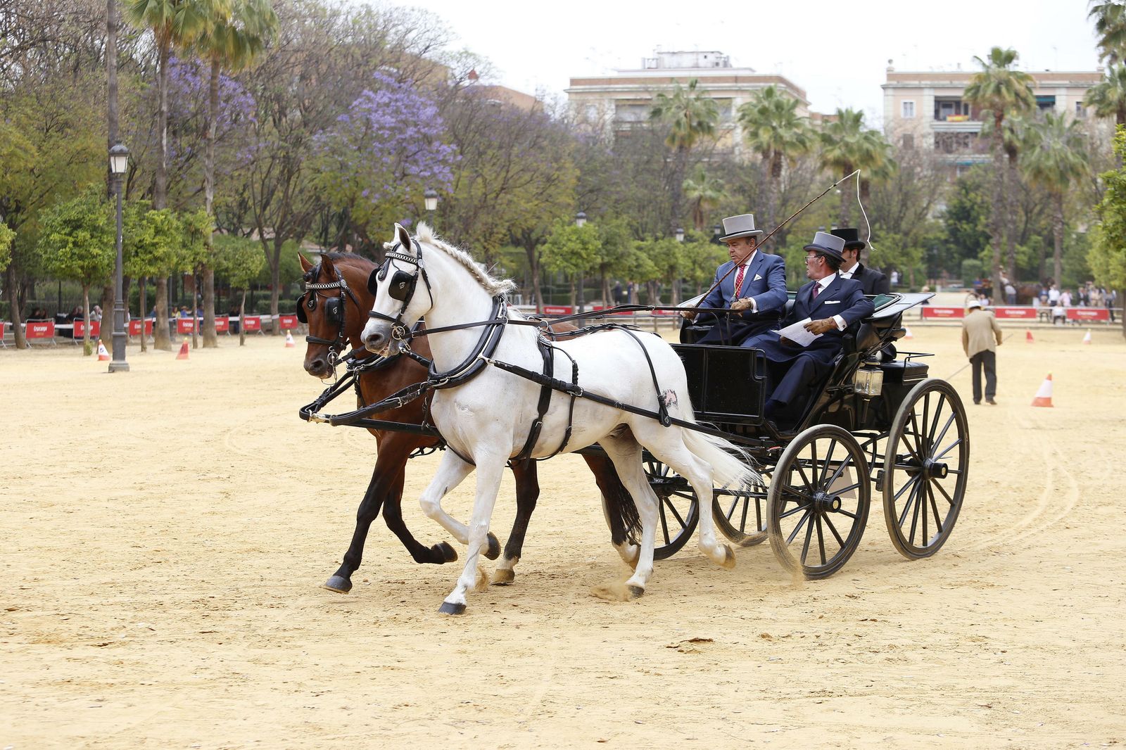 El concurso de enganches, en imágenes