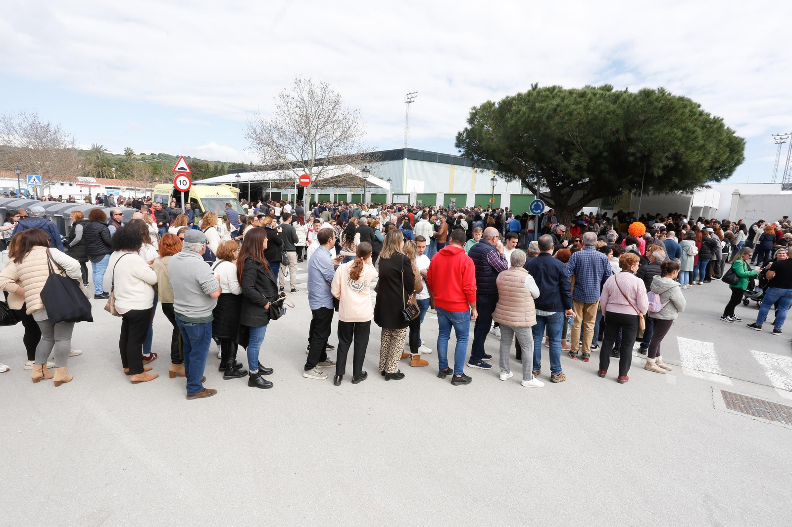 Fotos de la tagarninada popular en Los Barrios
