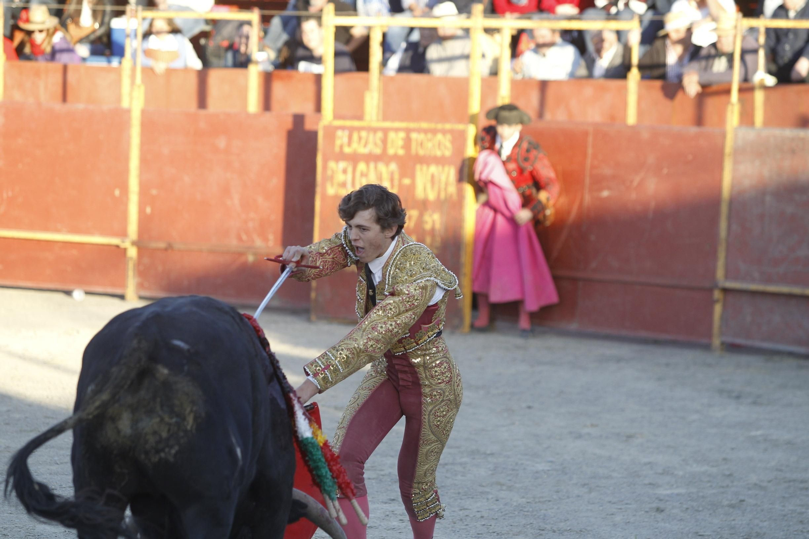 Fotogalería Novillada Fiestas de Abrucena