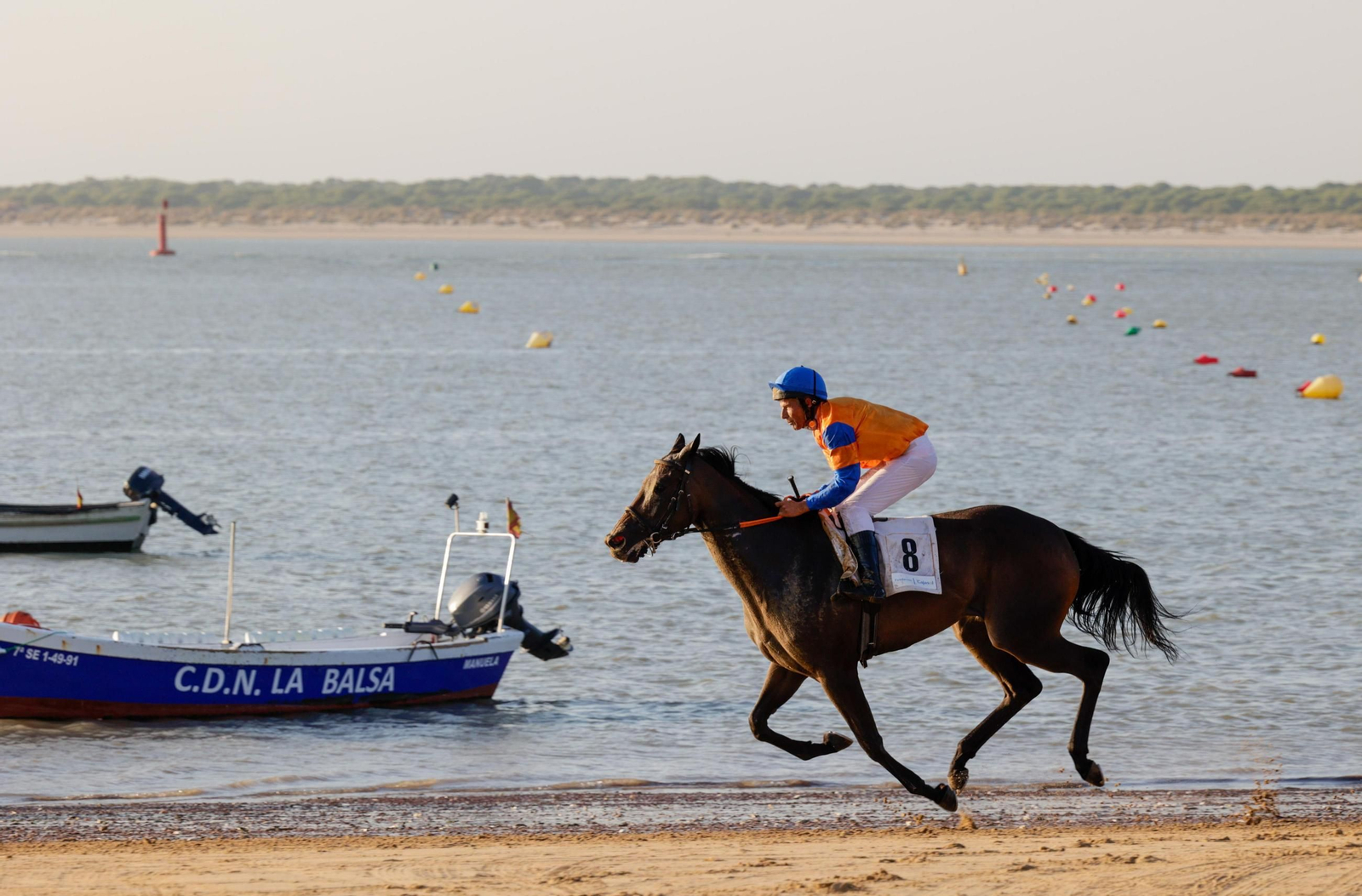 Imagen de la segunda jornada del ciclo final de las Carreras de Caballos de Sanlúcar 2025