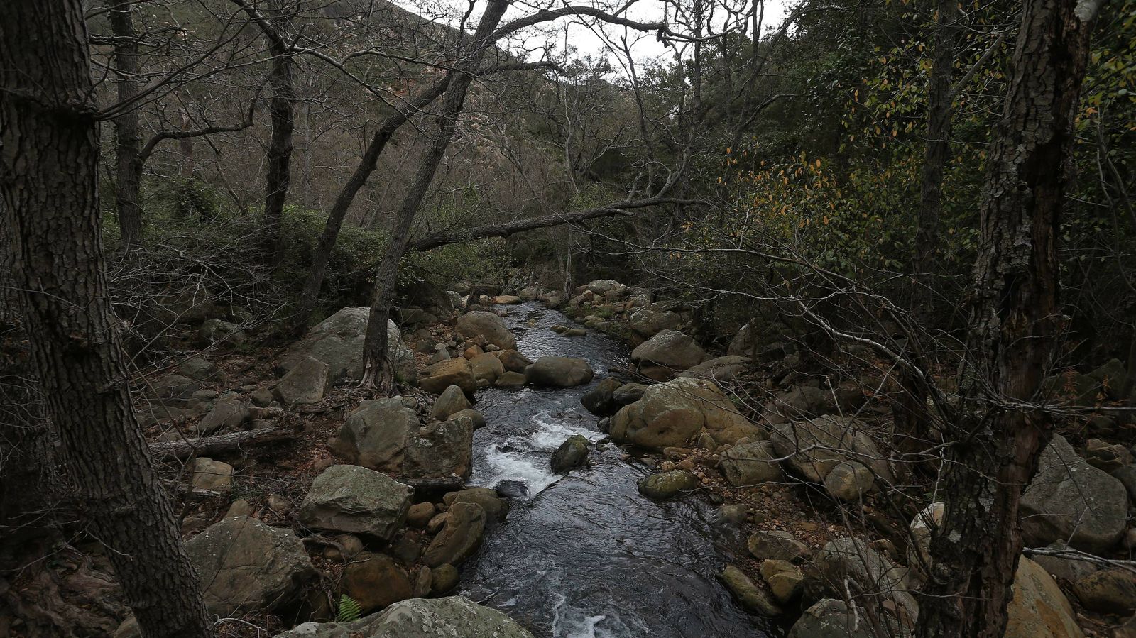 Las mejores fotos del sendero del Río de la Miel