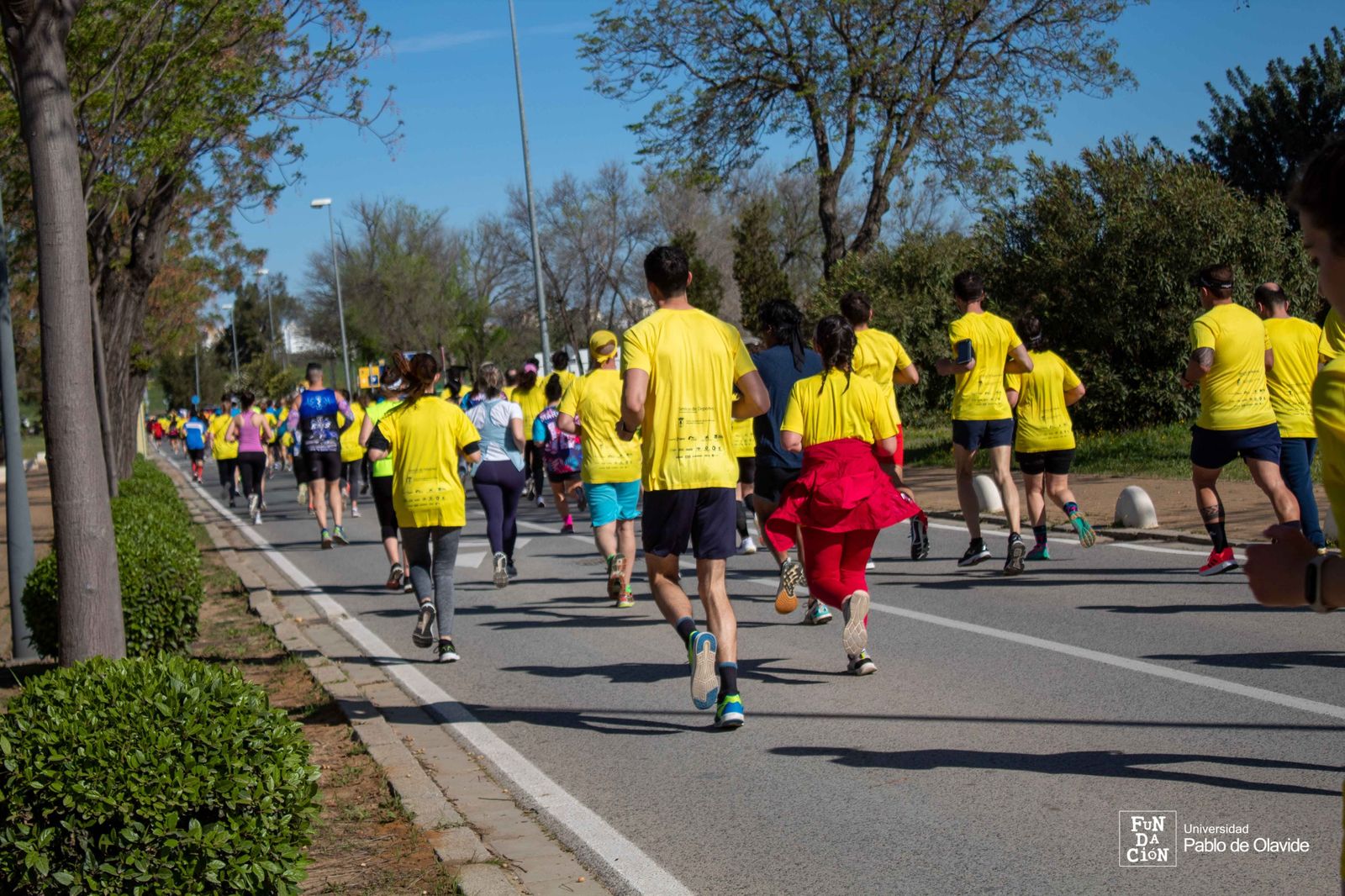 Deporte y solidaridad se darán cita el 15 de abril en la VII Carrera Popular de la Universidad Pablo de Olavide
