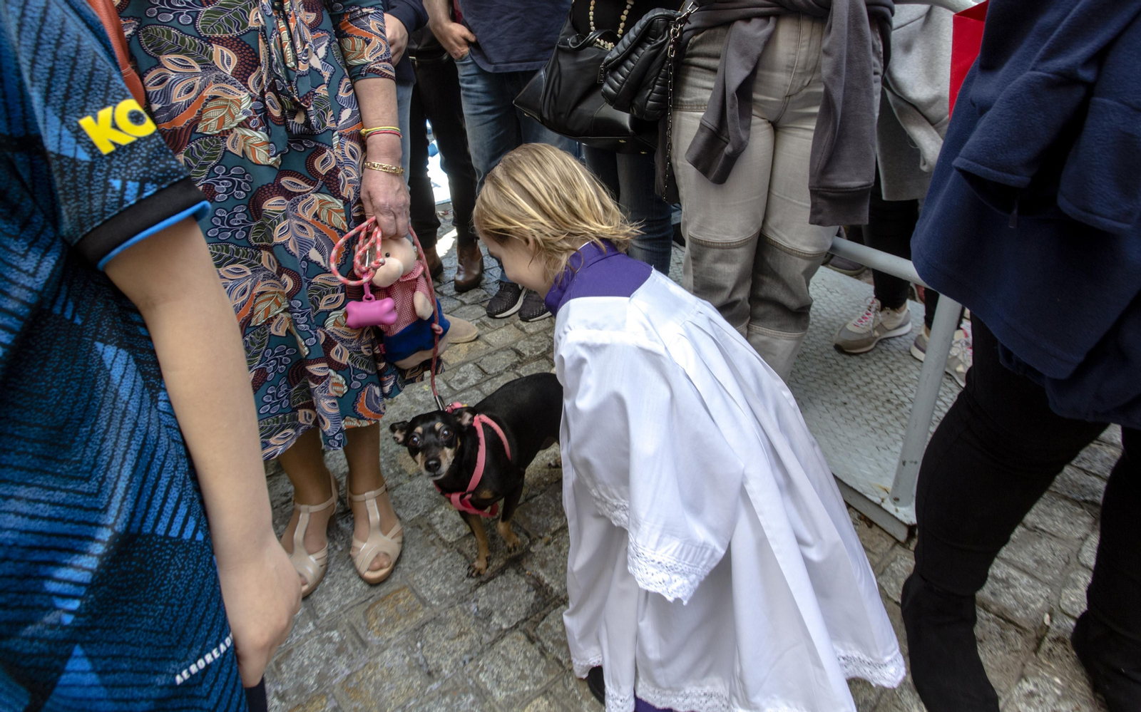 Las imágenes de la procesión del Resucitado en la Semana Santa de Cádiz 2022