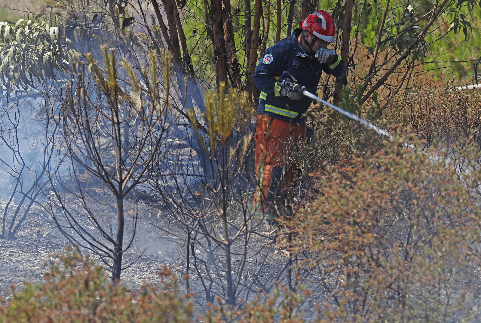Imágenes del espectacular incendio entre en el paraje de la raya de Aljaraque y Marismas del Odiel