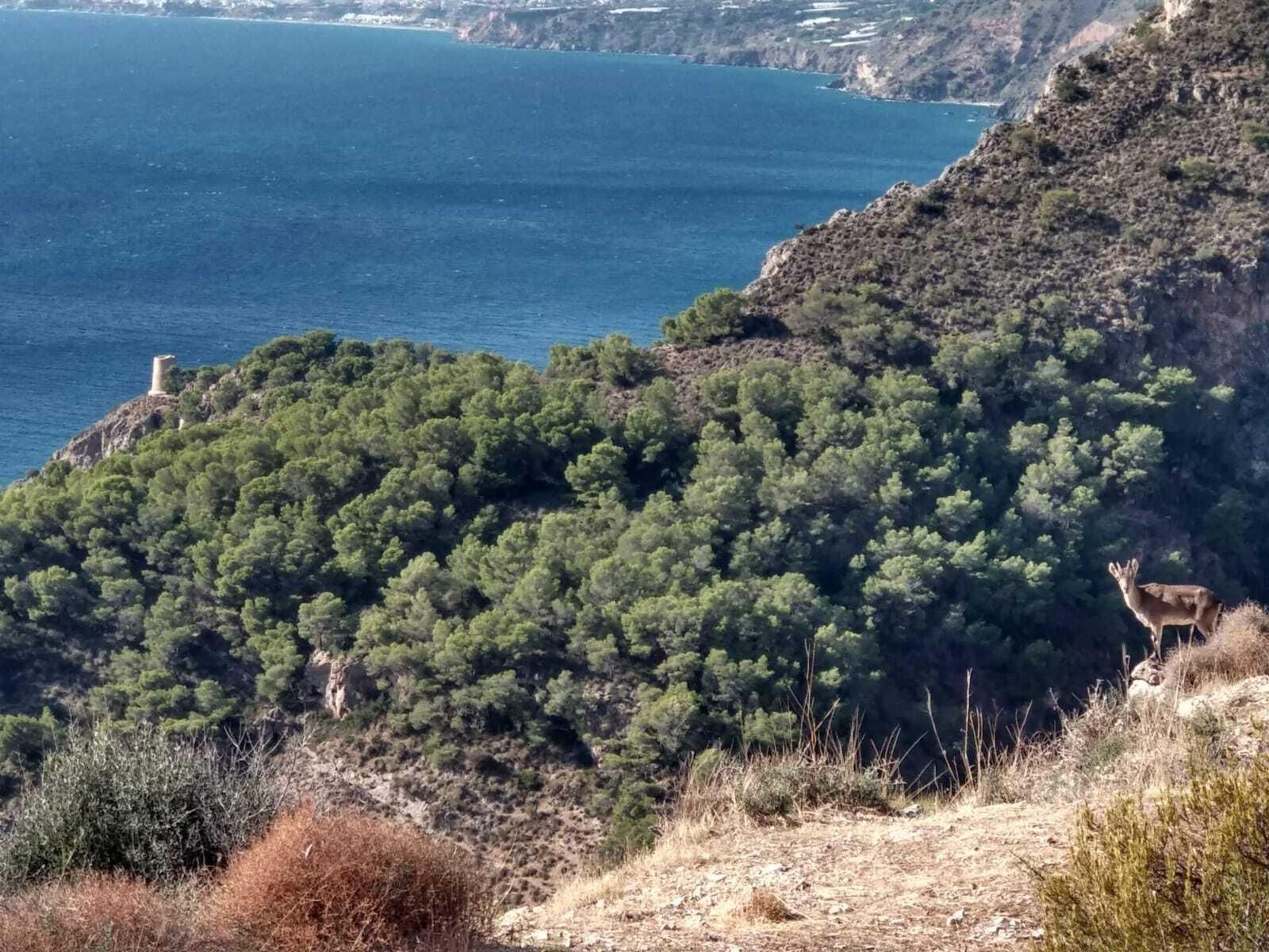 Ruta hacia el mirador de Cerro Gordo