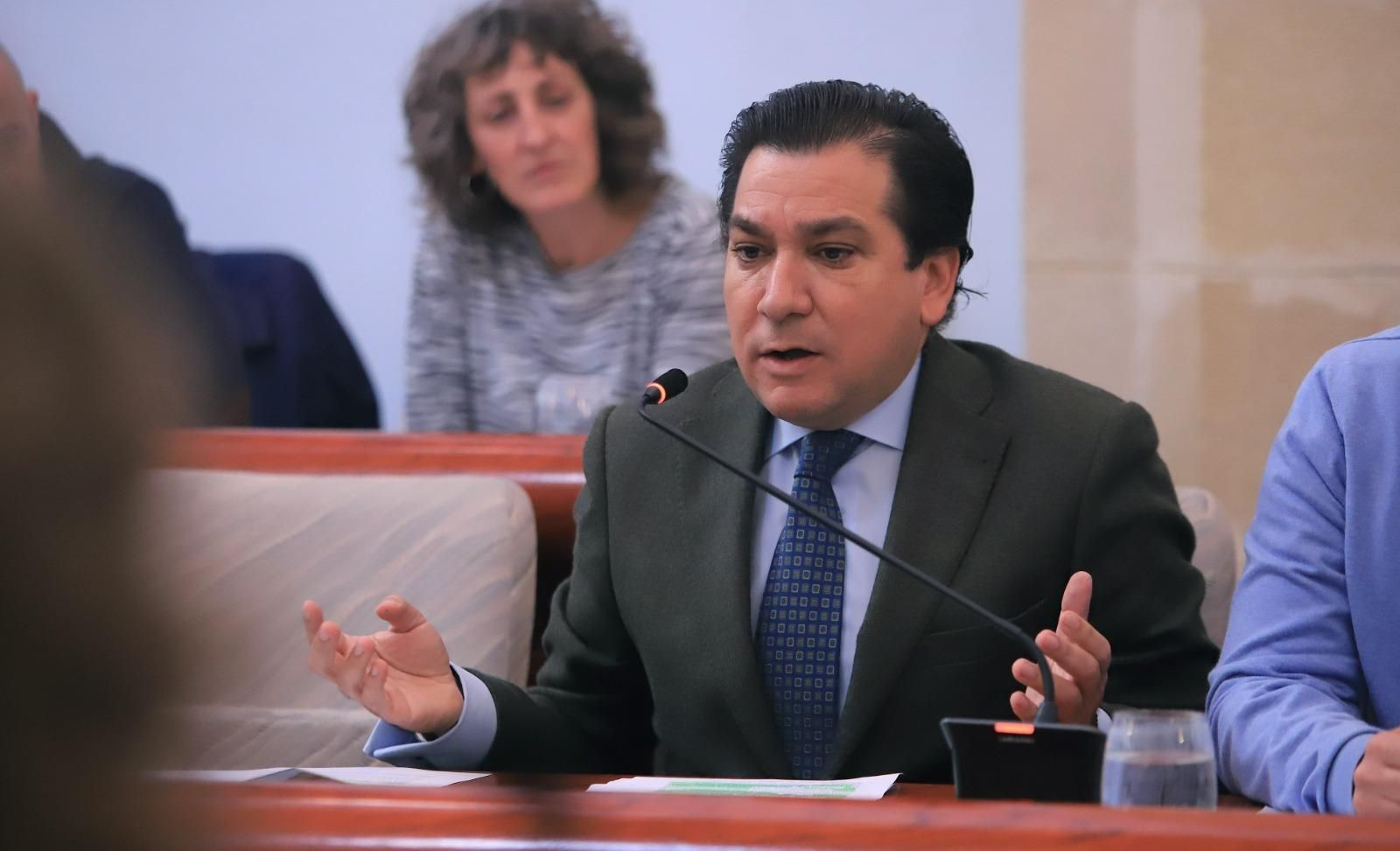 Antonio Fernández, durante un pleno.