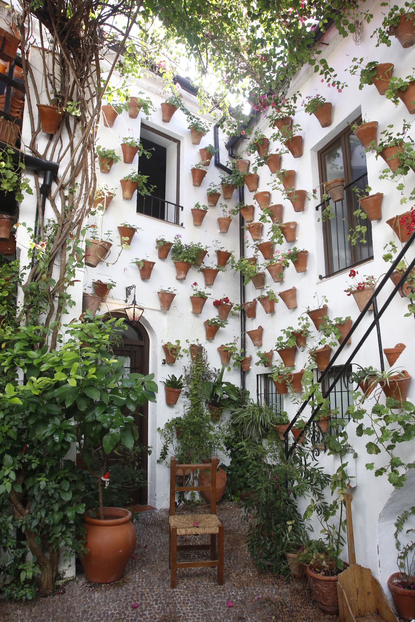 Las fotografías de los Patios de Córdoba en otoño