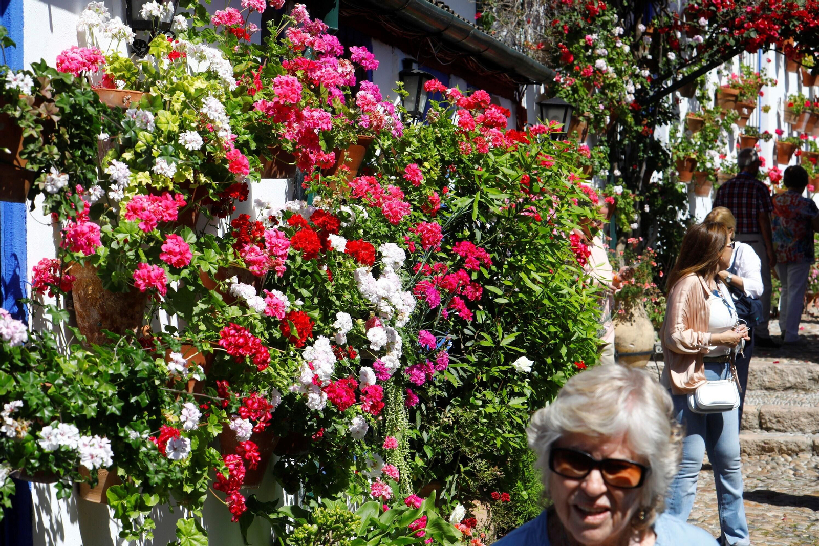 La ruta de Patios Santa Marina-San Agustín, en imágenes