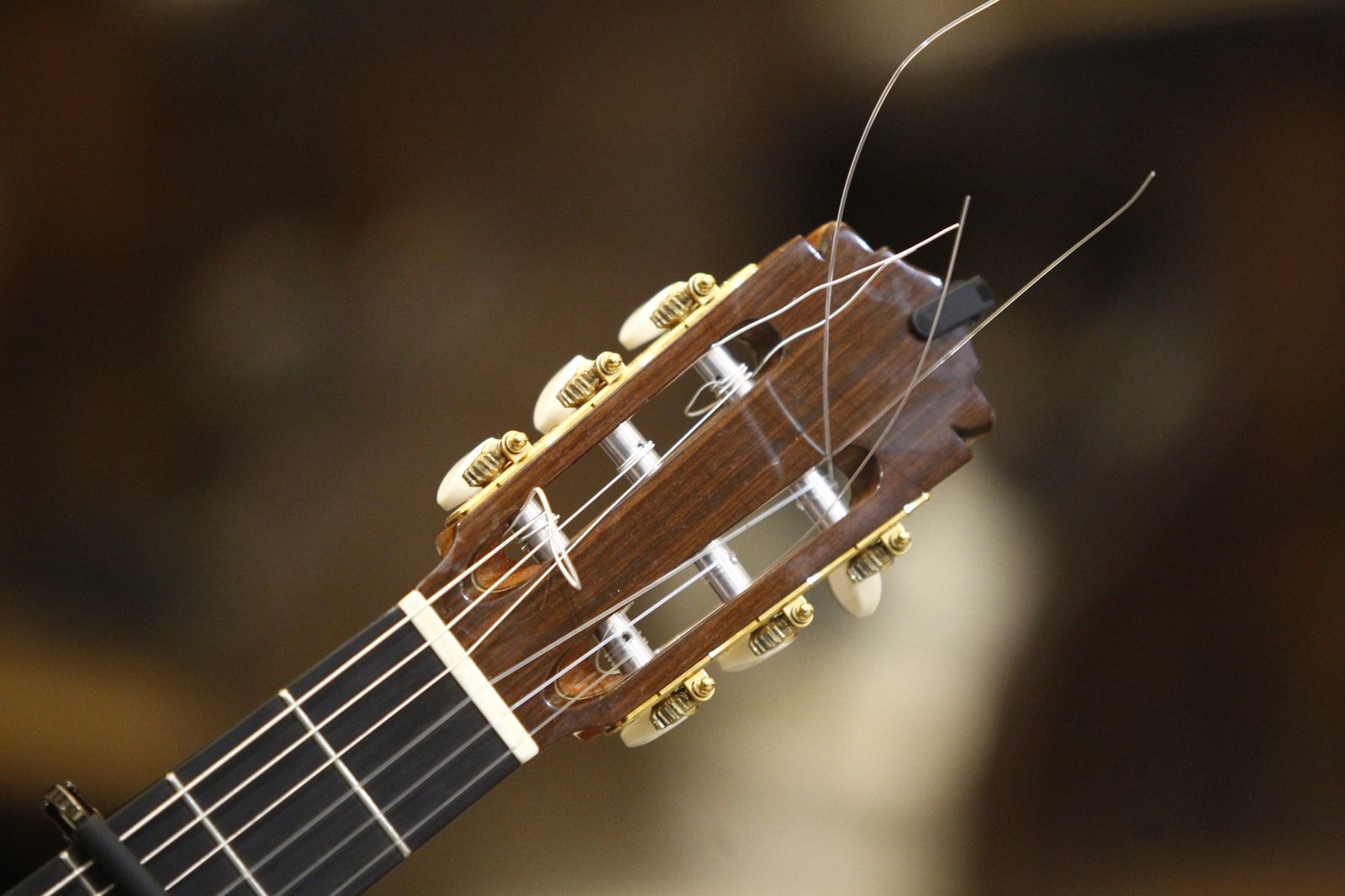 Imágenes de la misa flamenca en la Catedral de Almería