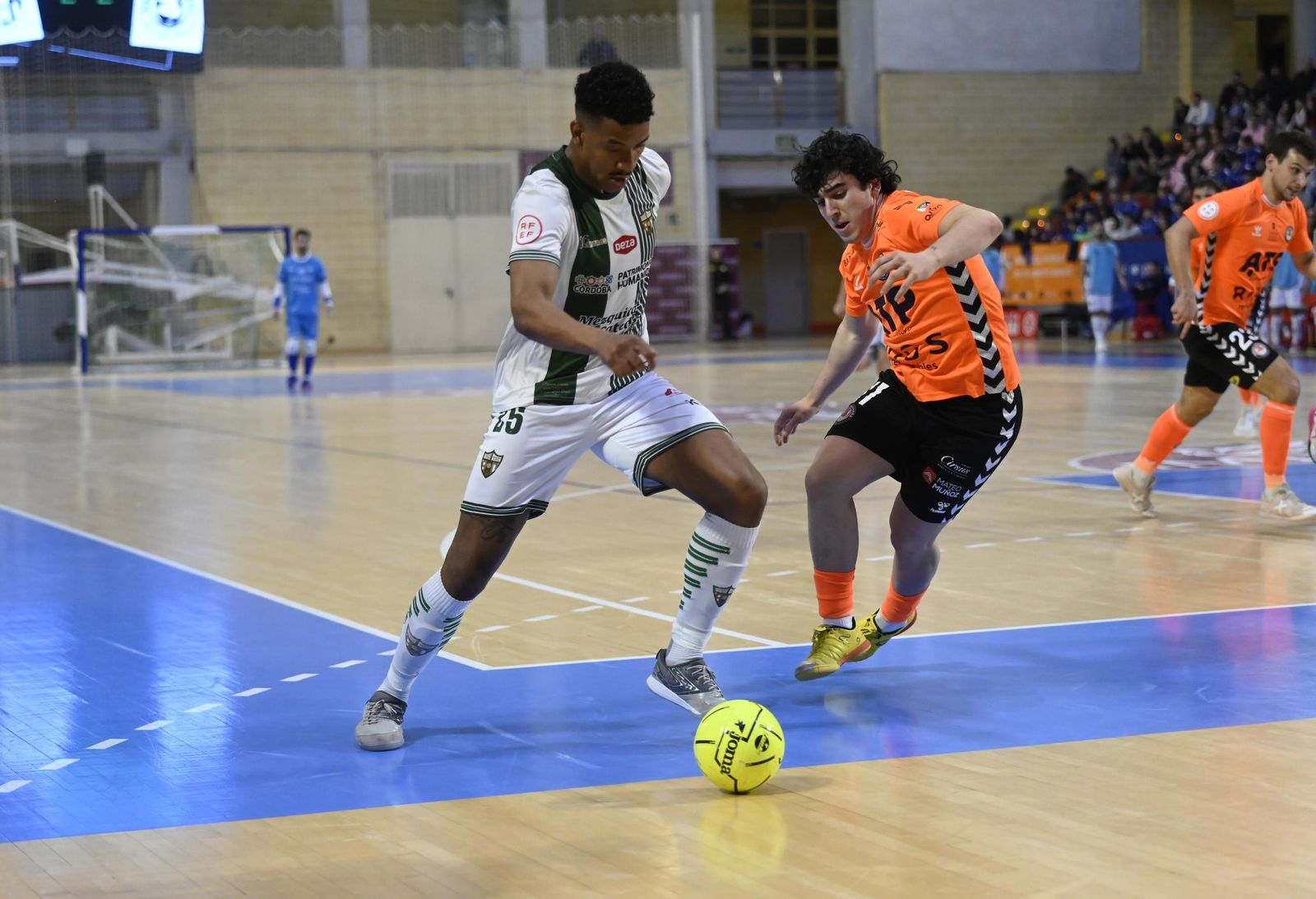 Las mejores fotos del ambiente en Vista Alegre para el Córdoba Futsal - Ribera Navarra