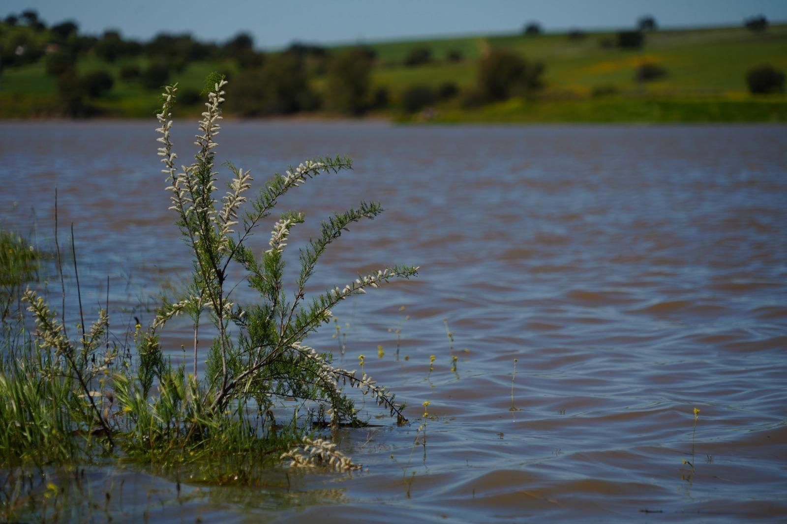 Así luce el embalse de Sierra Boyera tras las lluvias, en imágenes