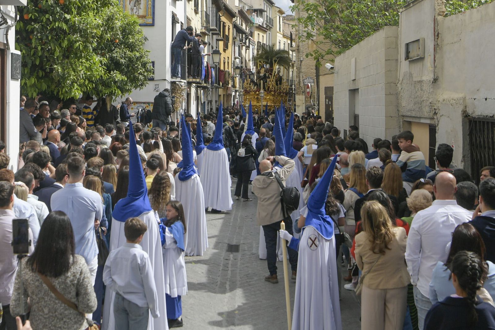 Así vivió Granada la salida de la Hermandad de la Borriquilla 2025