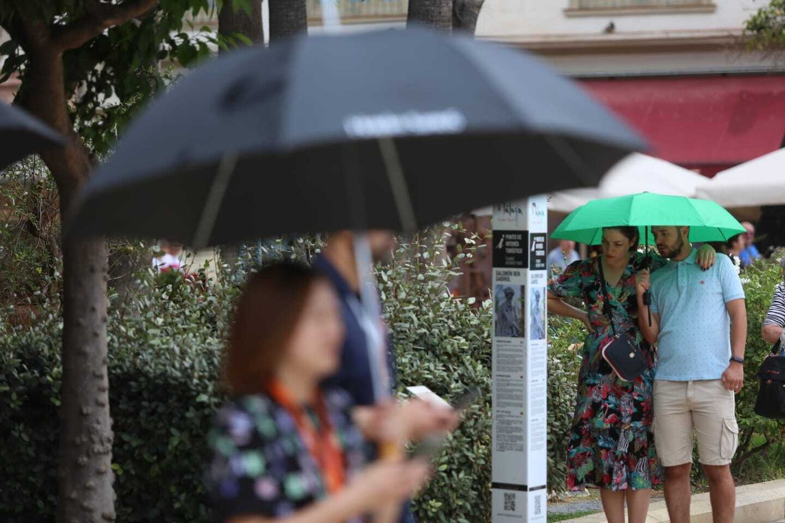 Algunas personas protegidas con paraguas el pasado martes en Málaga.
