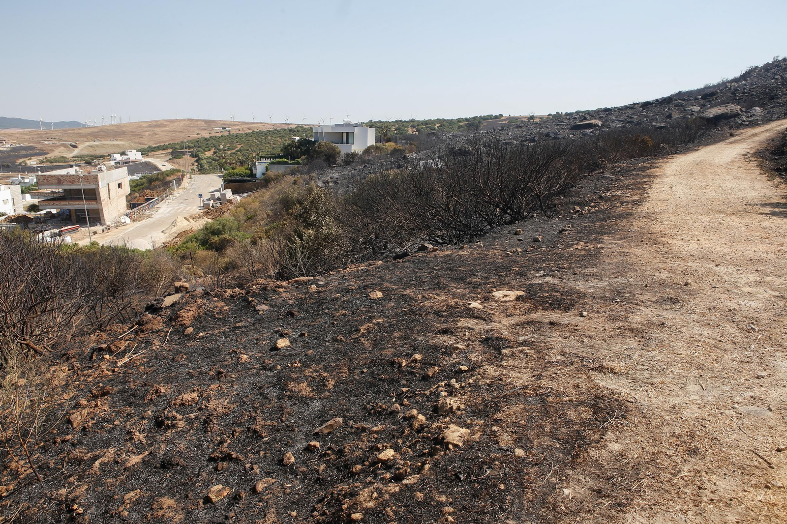 Las fotos de los efectos del incendio forestal en la Sierra de la Plata y Atlanterra, en Tarifa