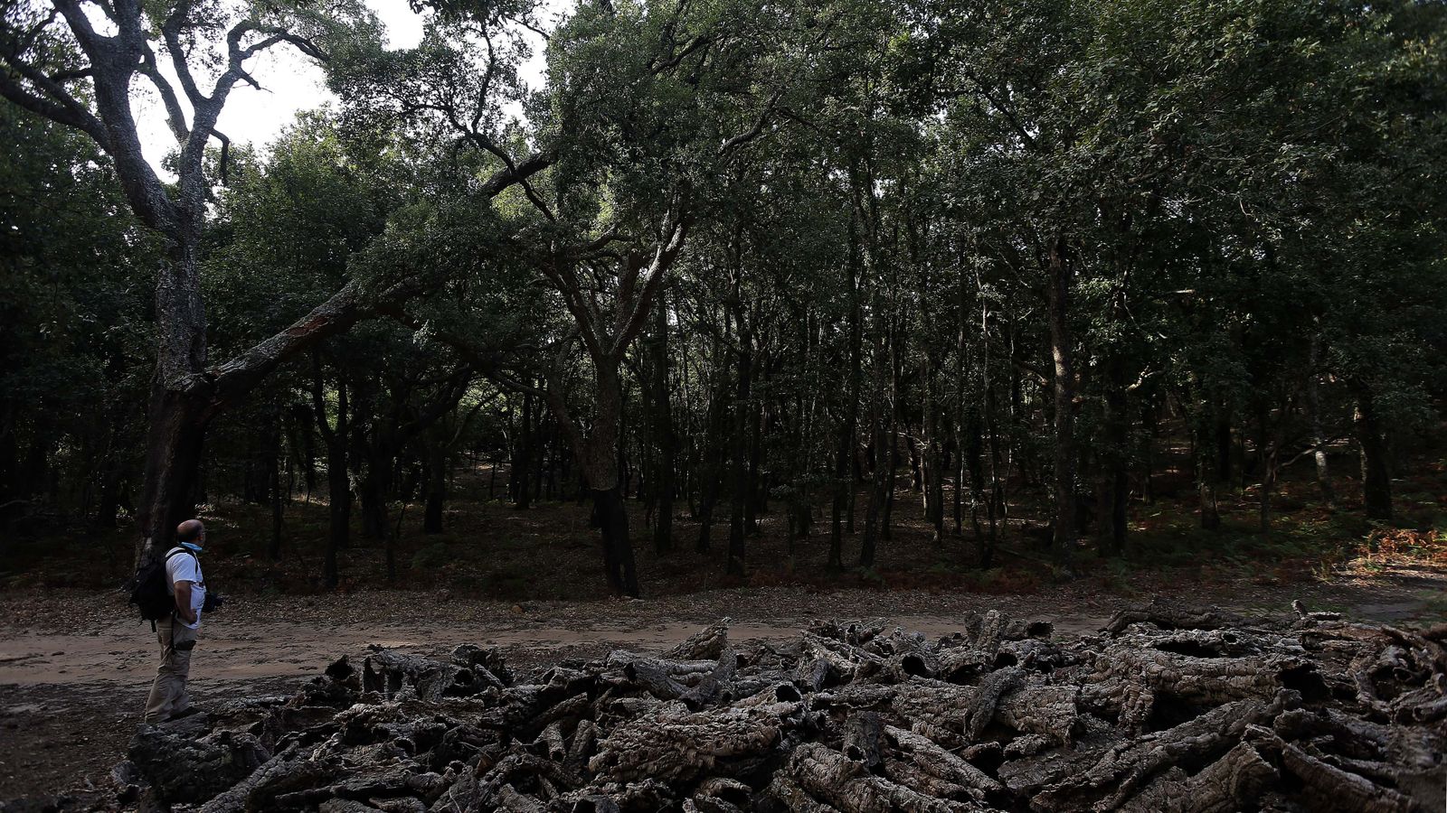Las mejores fotos de San Carlos del Tiradero