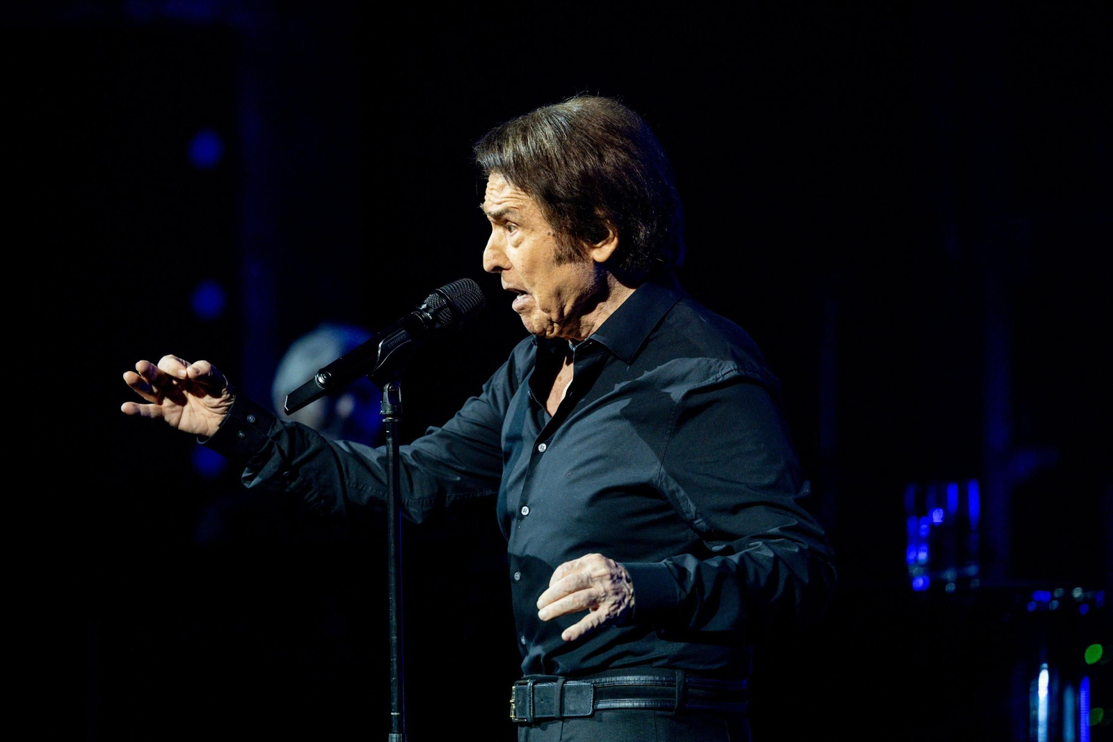 Raphael, en un concierto reciente.