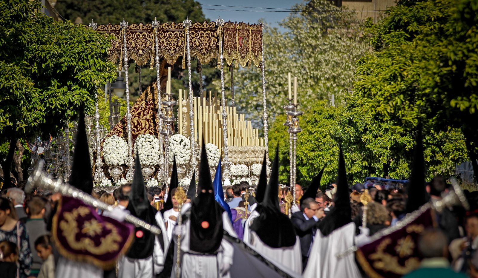 El magnífico paso de palio de la Paz en su Mayor Aflicción ‘revirando’ para encarar la calle Arcos.