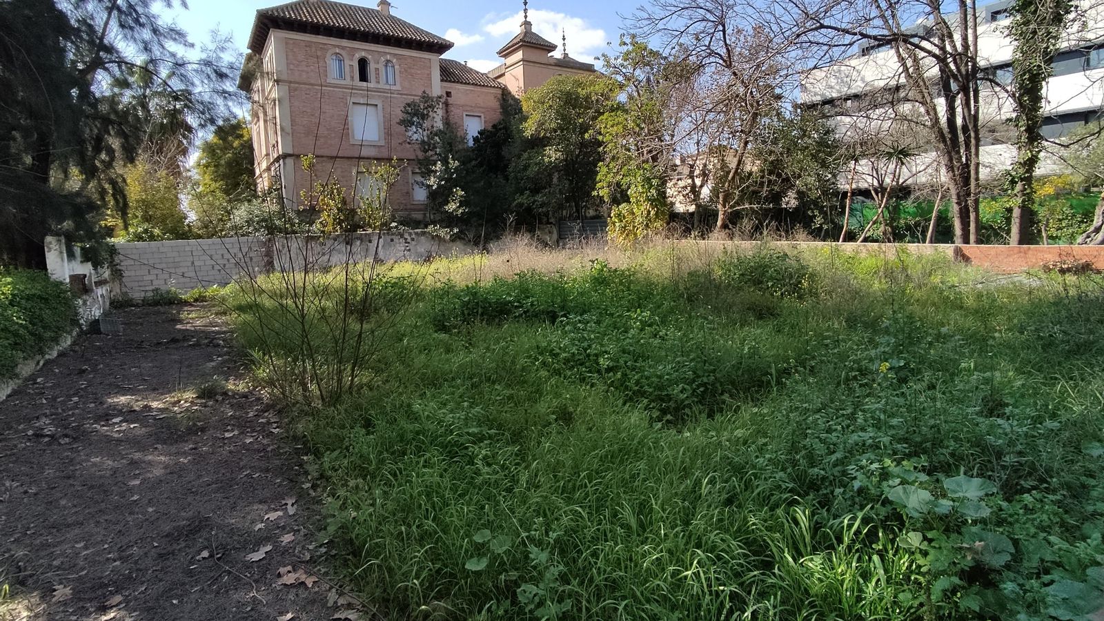 Otra vista del terreno junto a la Palmera en el que se levantará la residencia universitaria.