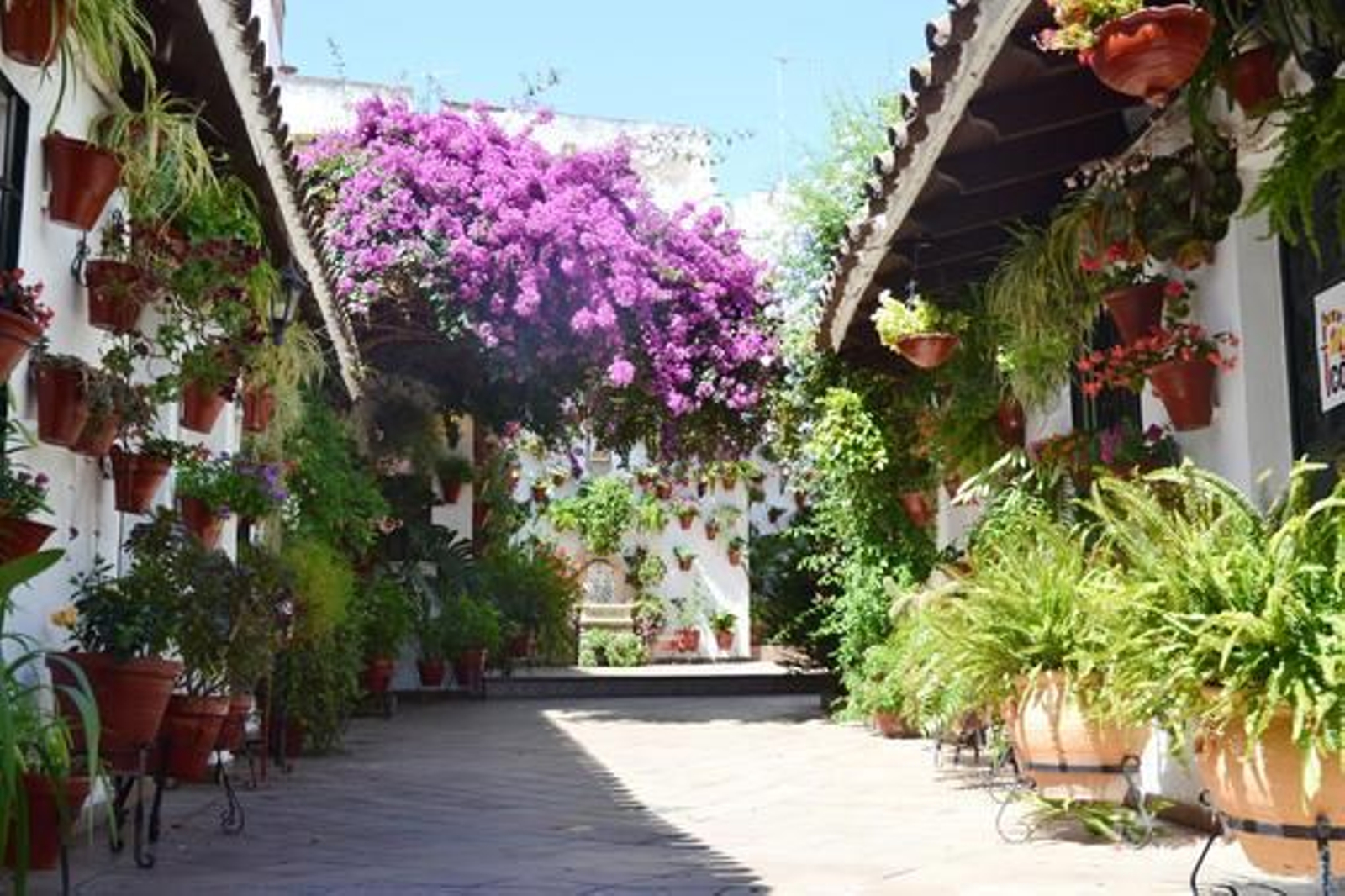 Foto: Macarena Gassin