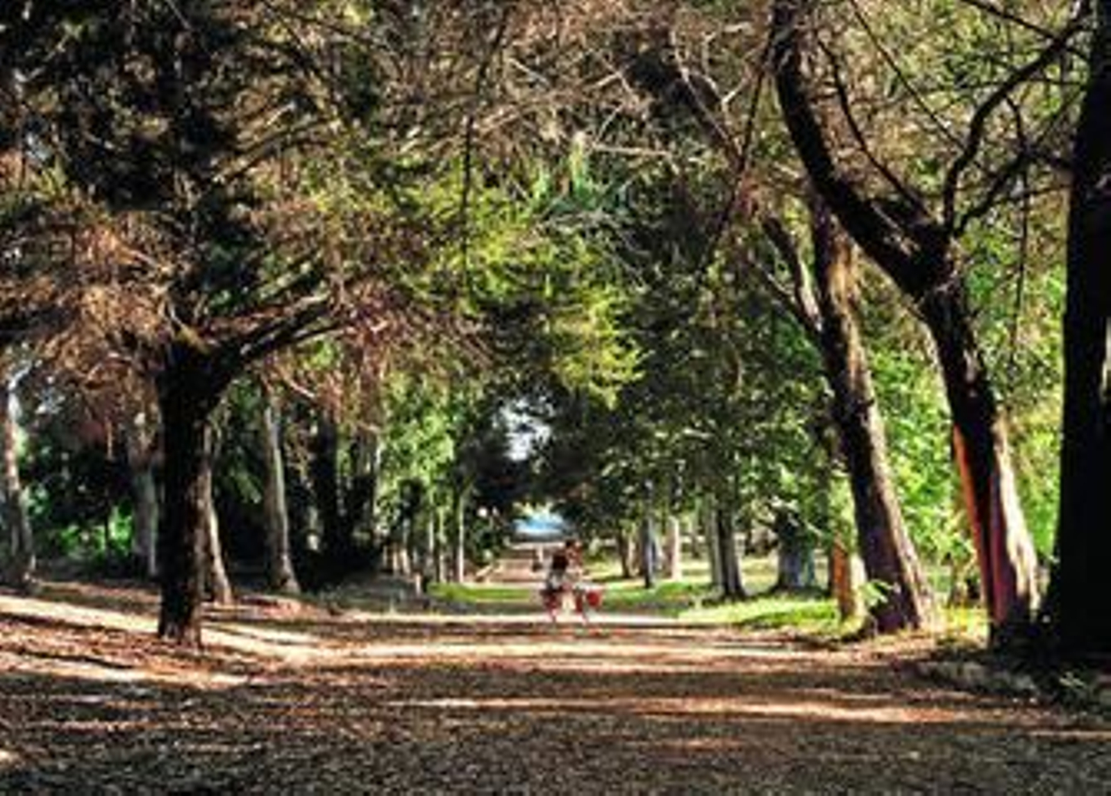 Imagen de los terrenos del antiguo campamento militar.