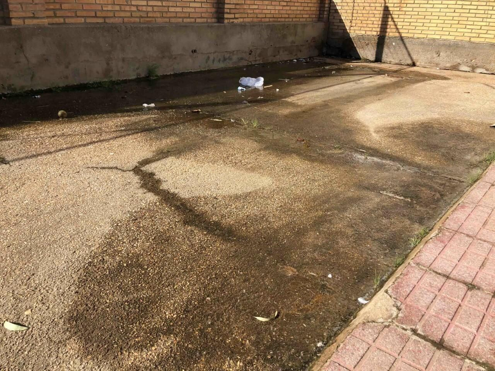 Imagen del lamentable estado de las pistas del centro docente.