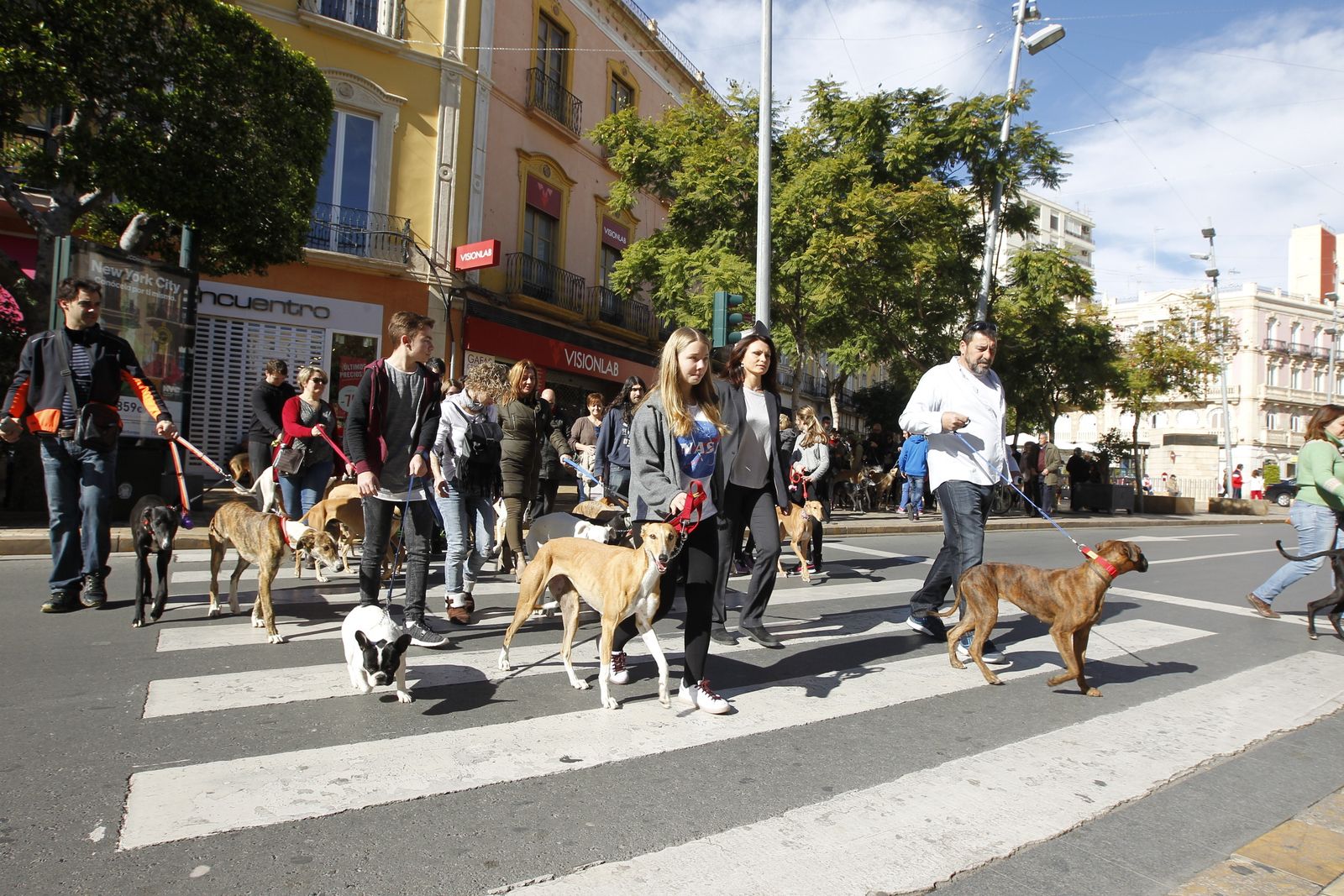 Marcha solidaria de la Asociación 7 Galgos en el Paseo de Almería