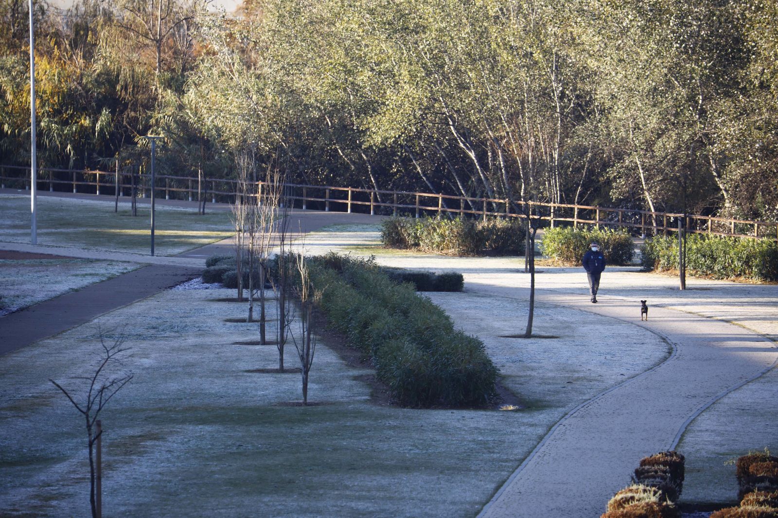 La ola de frío en Córdoba, en fotografías